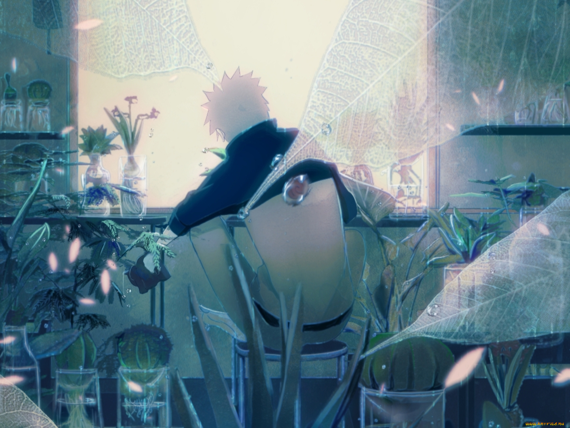 аниме, naruto, наруто