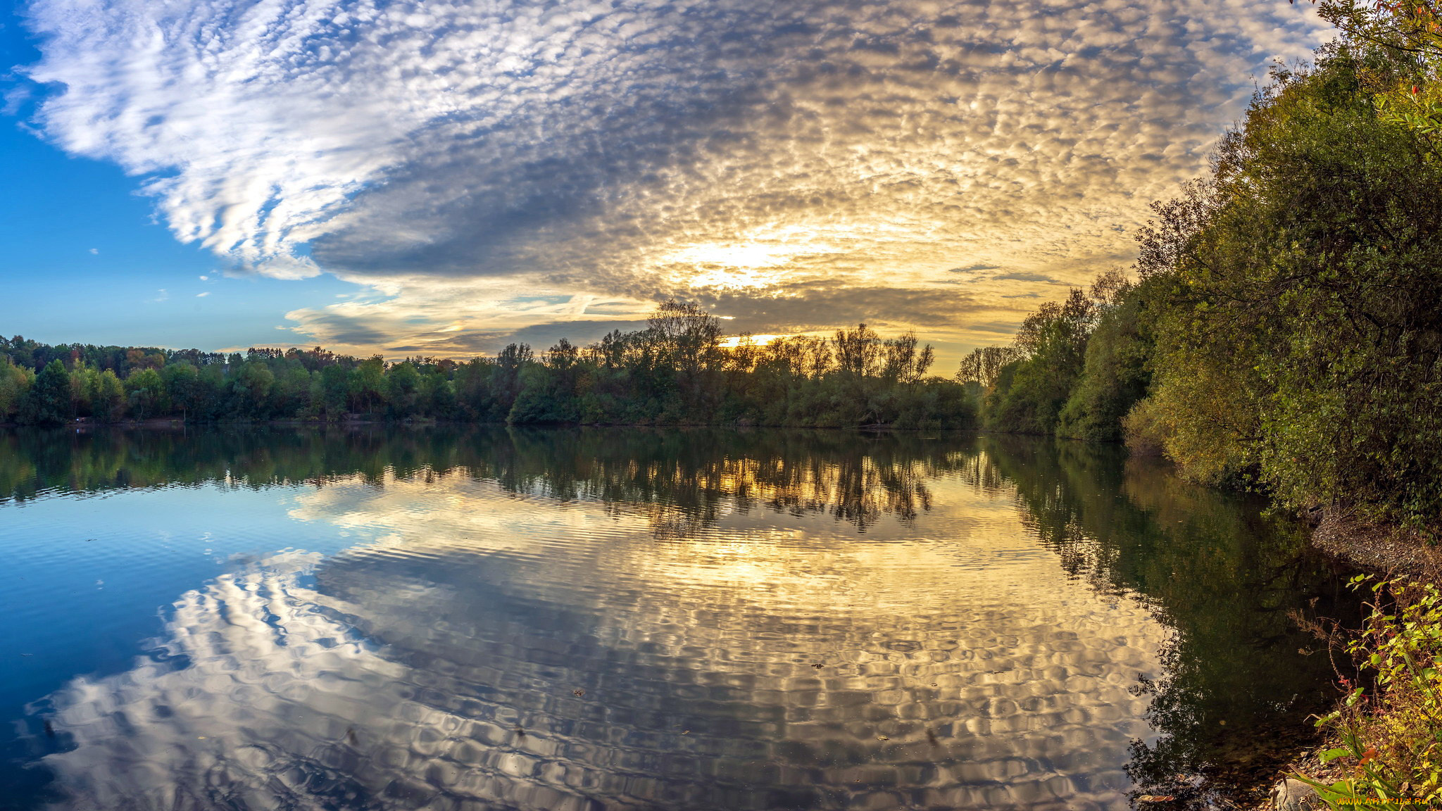 природа, реки, озера, река