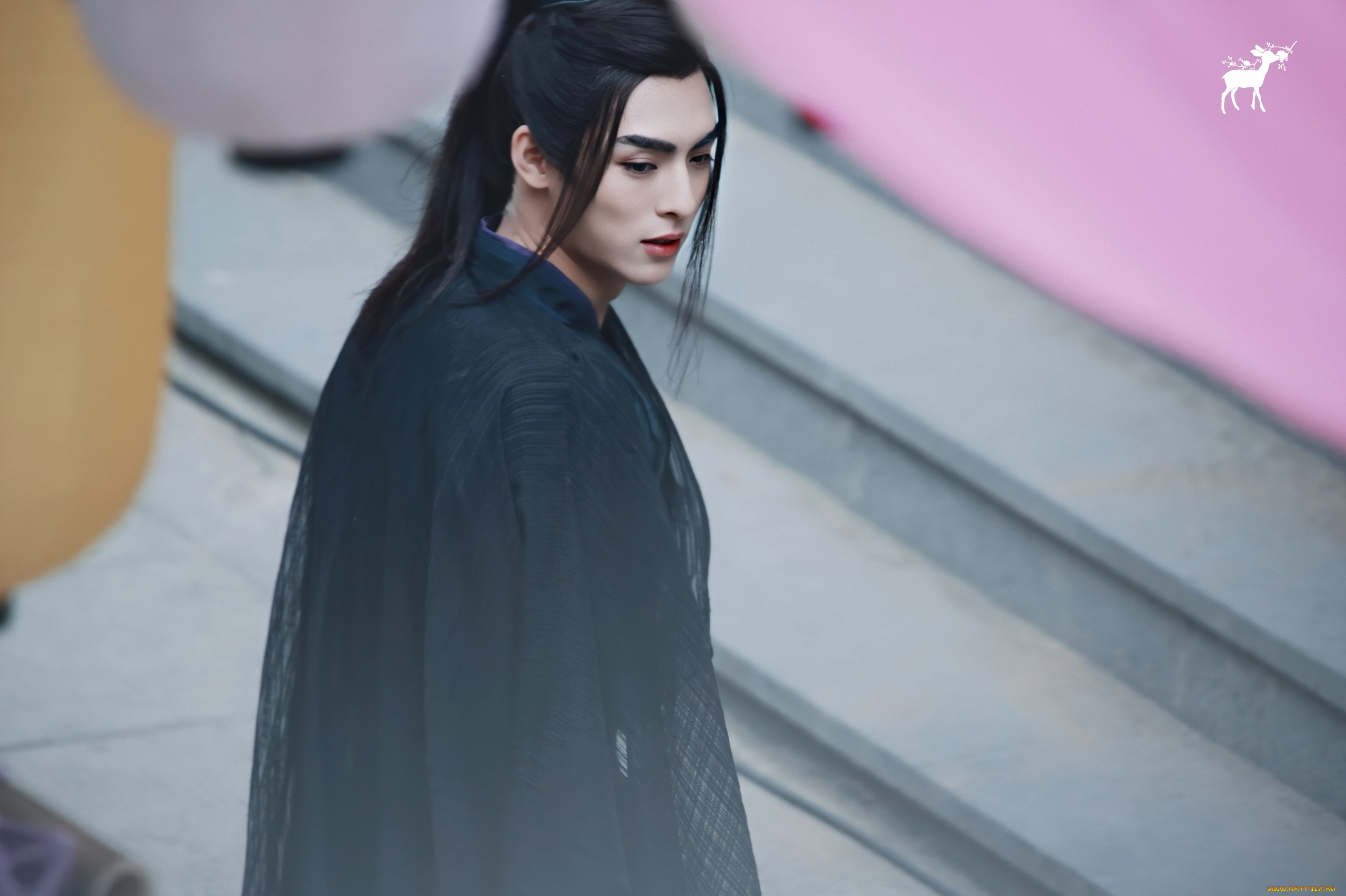 кино, фильмы, dance, of, the, phoenix, танец, феникса, ван, хаосюань, wang, hao, xuan