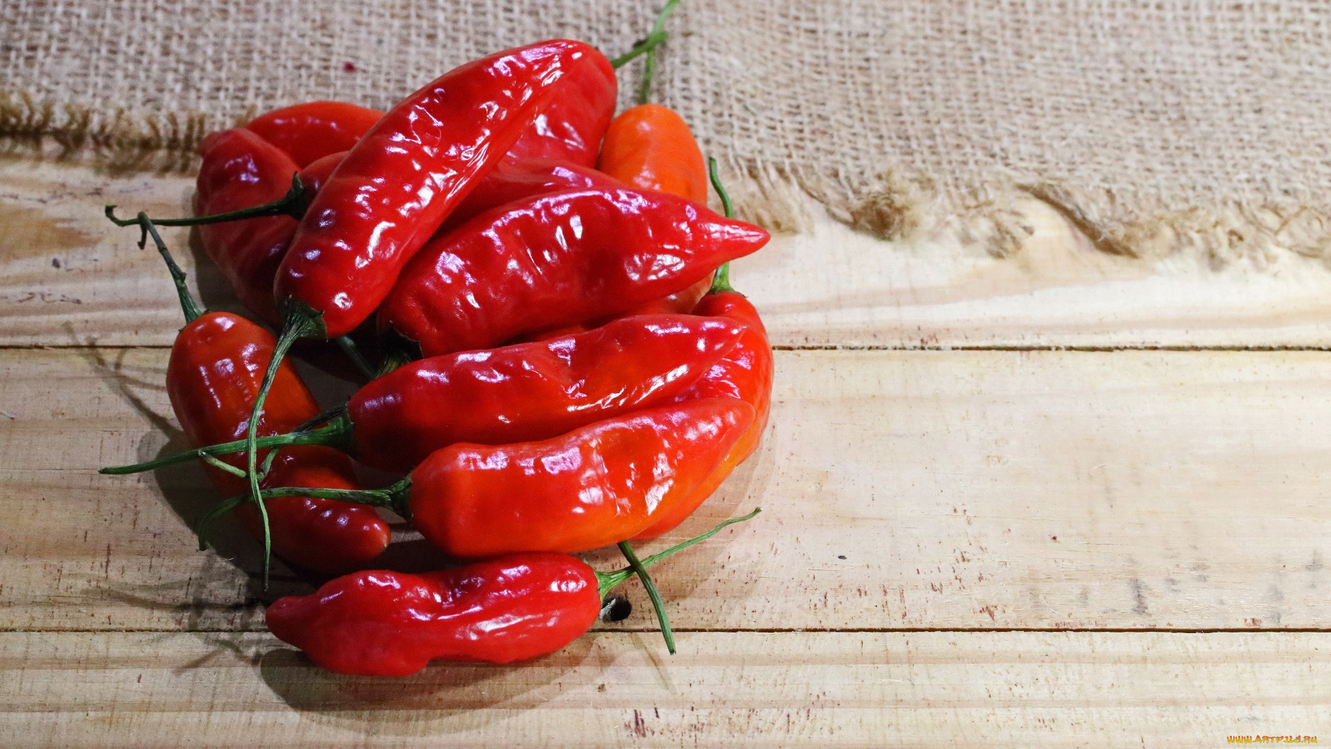 еда, перец, острый, стручки