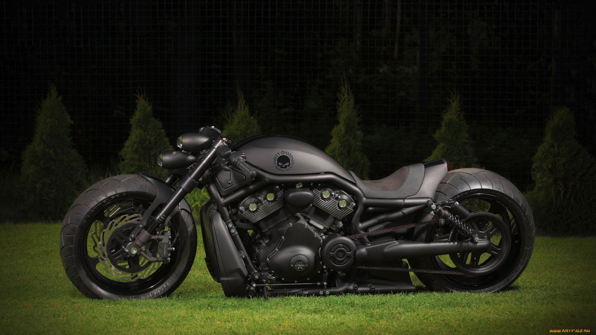 harley, davidson, мотоциклы, harley-davidson, мотоцикл, байк