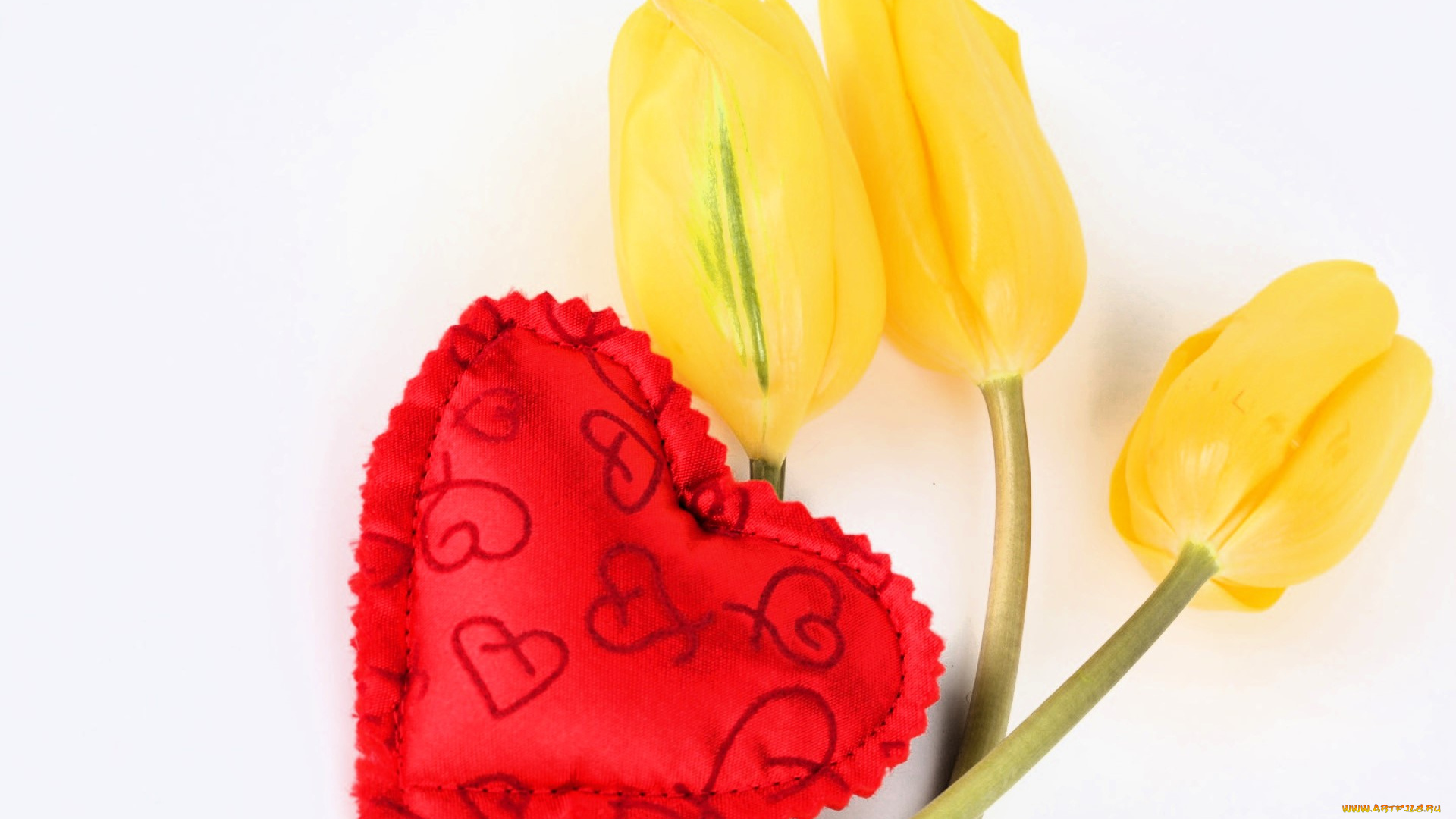 праздничные, день, святого, валентина, , сердечки, , любовь, сердечко, тюльпаны