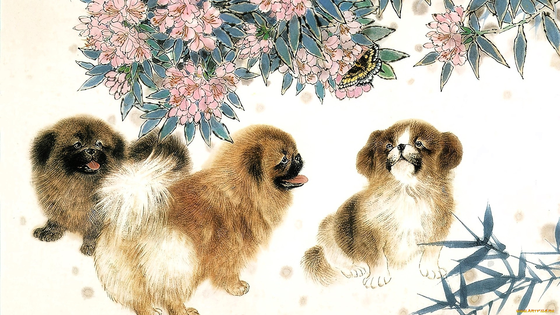 рисованное, животные, , собаки, собаки, пекинесы, цветы