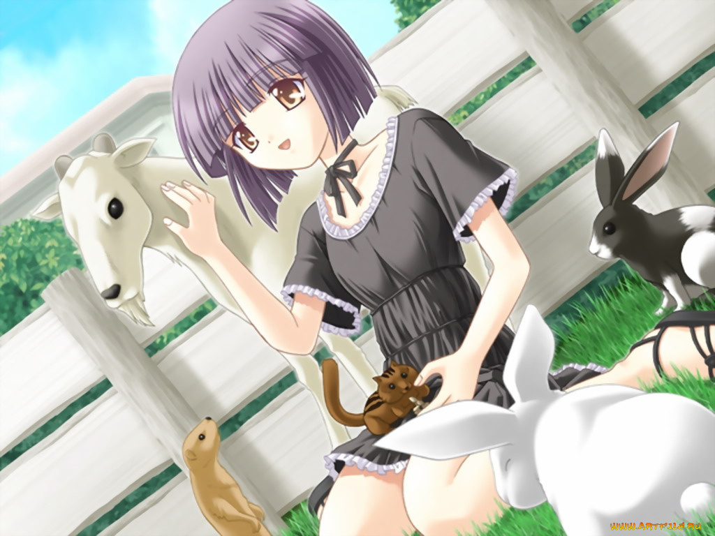 аниме, *unknown, другое