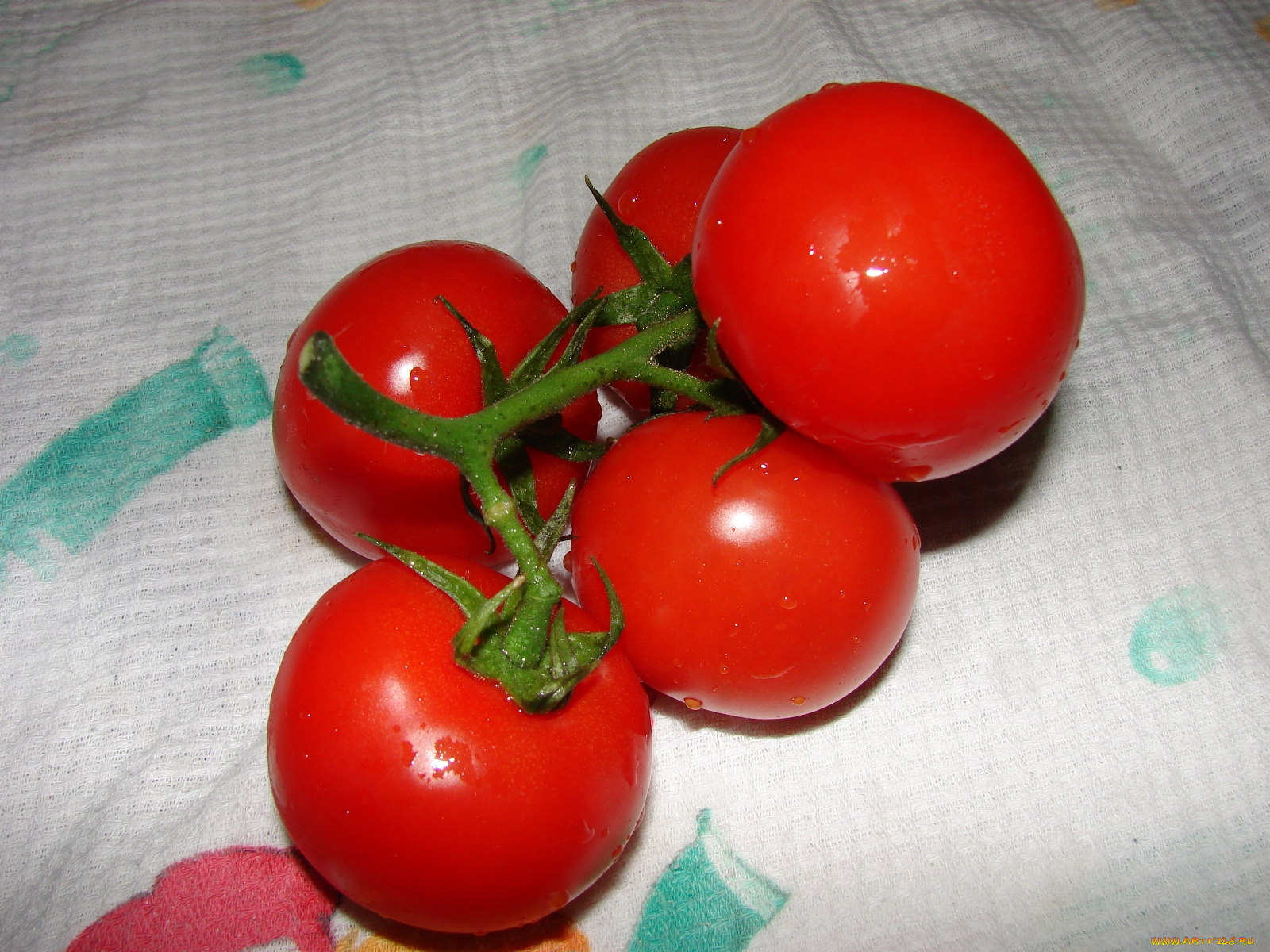 еда, помидоры, томаты