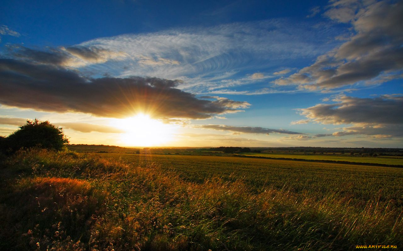 природа, поля