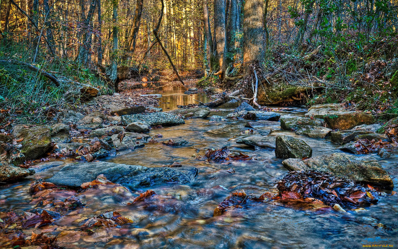 природа, реки, озера