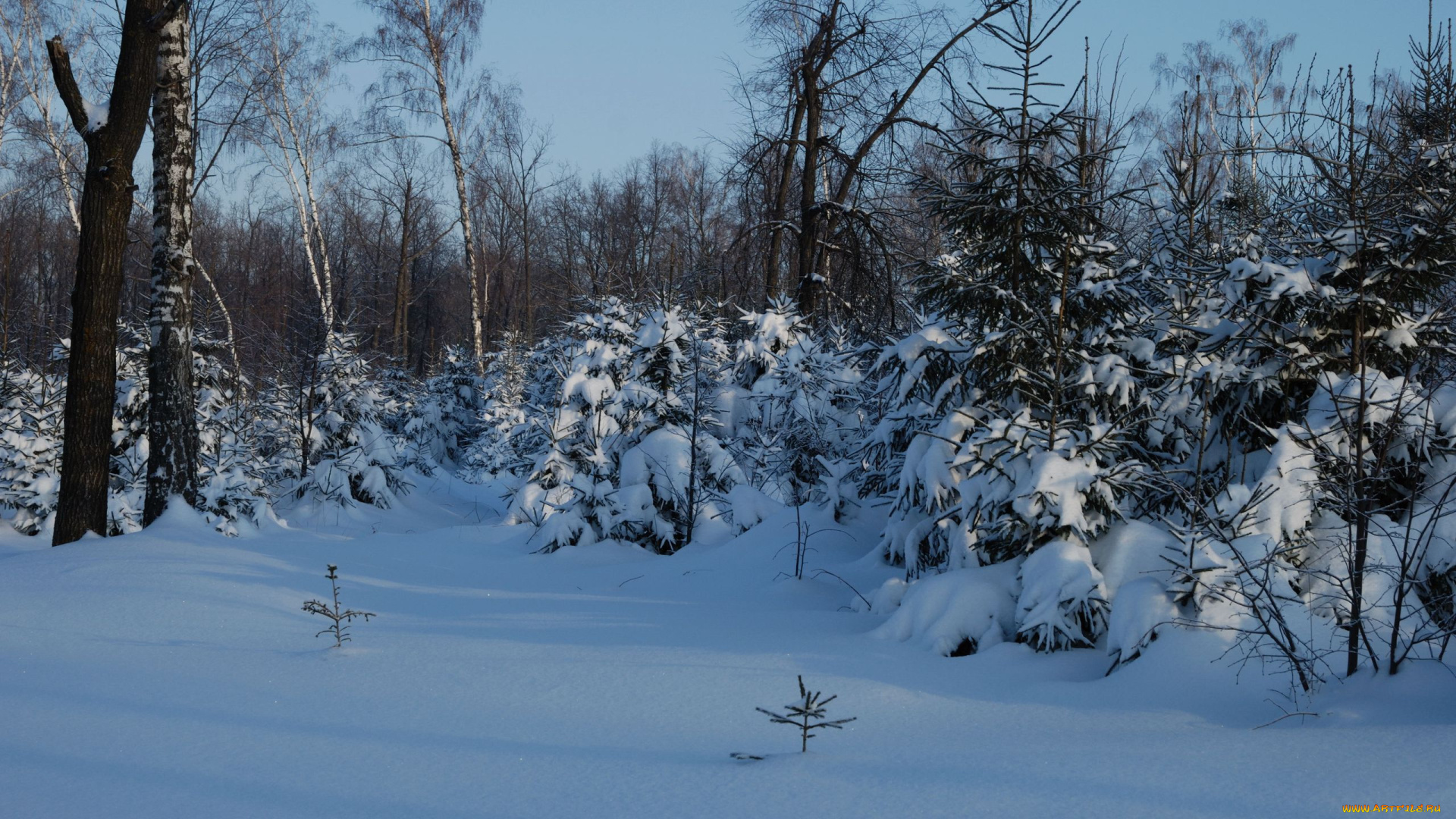 природа, зима