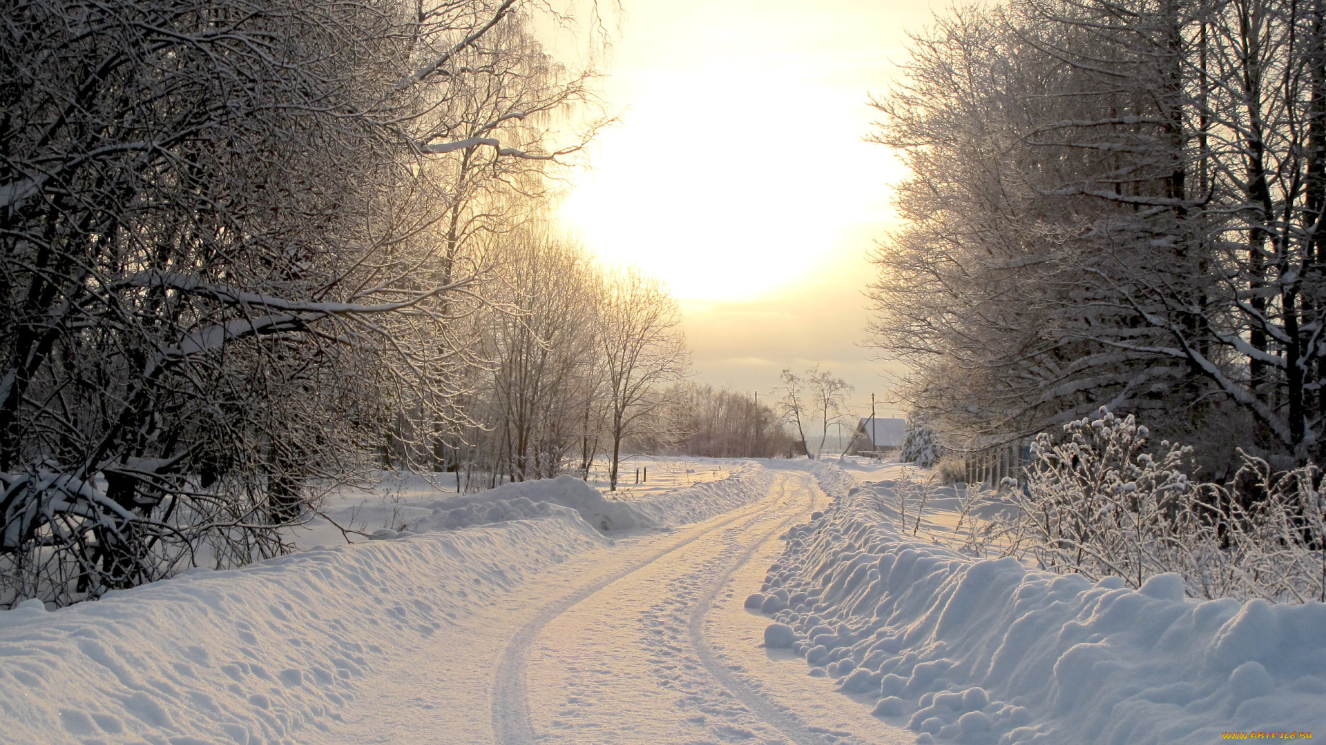 природа, зима