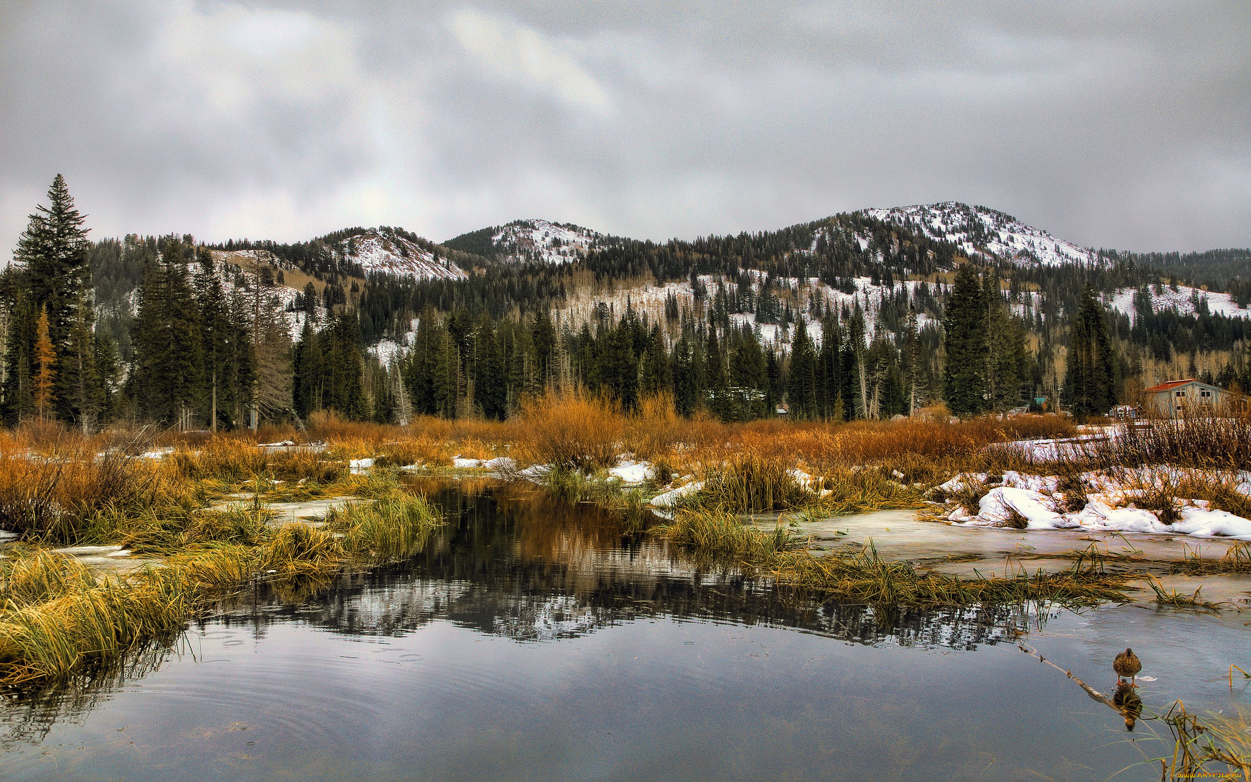 природа, горы