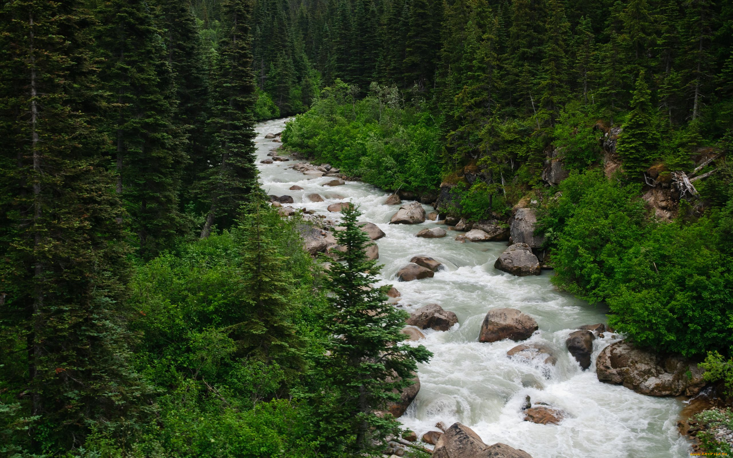 природа, реки, озера