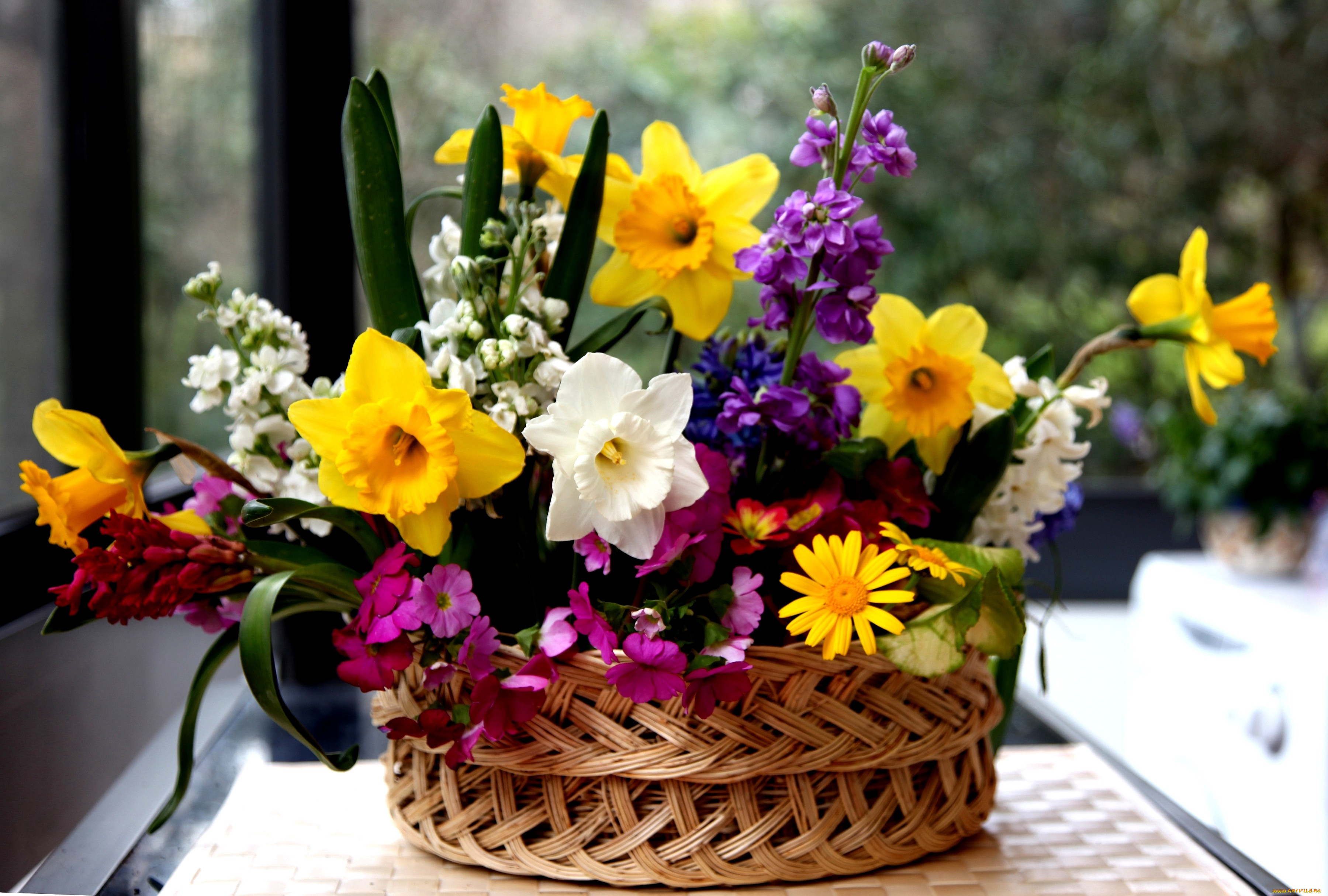 цветы, букеты, композиции, вербена, гиацинты, матиола, левкой, корзинка, нарциссы