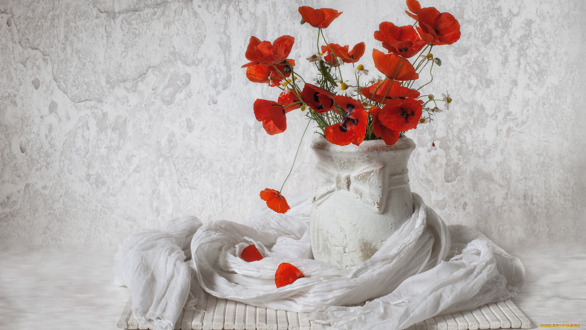 цветы, луговые, , полевые, , цветы, маки, шарф, ваза