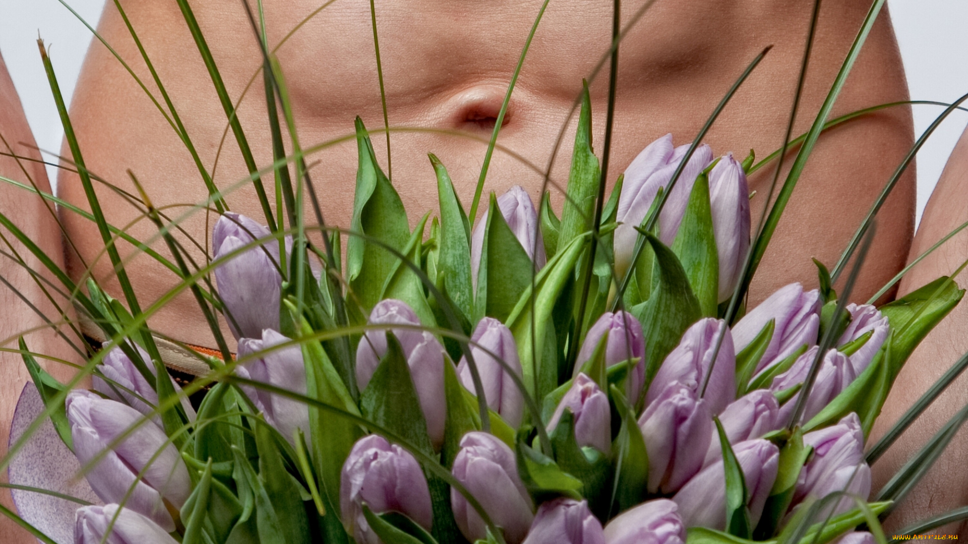 цветы, тюльпаны, торс
