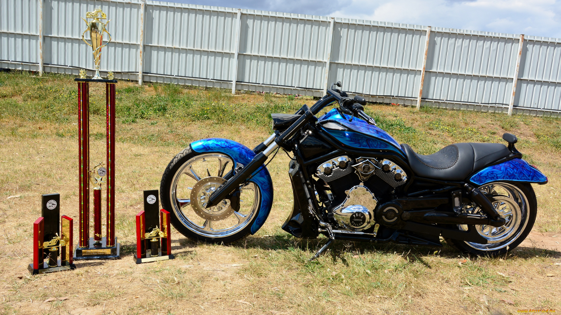 harley-davidson, мотоциклы, customs, байк, призы