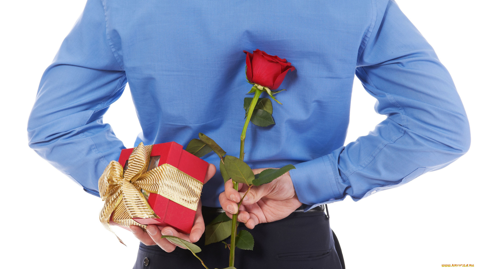 мужчины, -, unsort, рубашка, коробочка, подарок, спина, цветок, роза