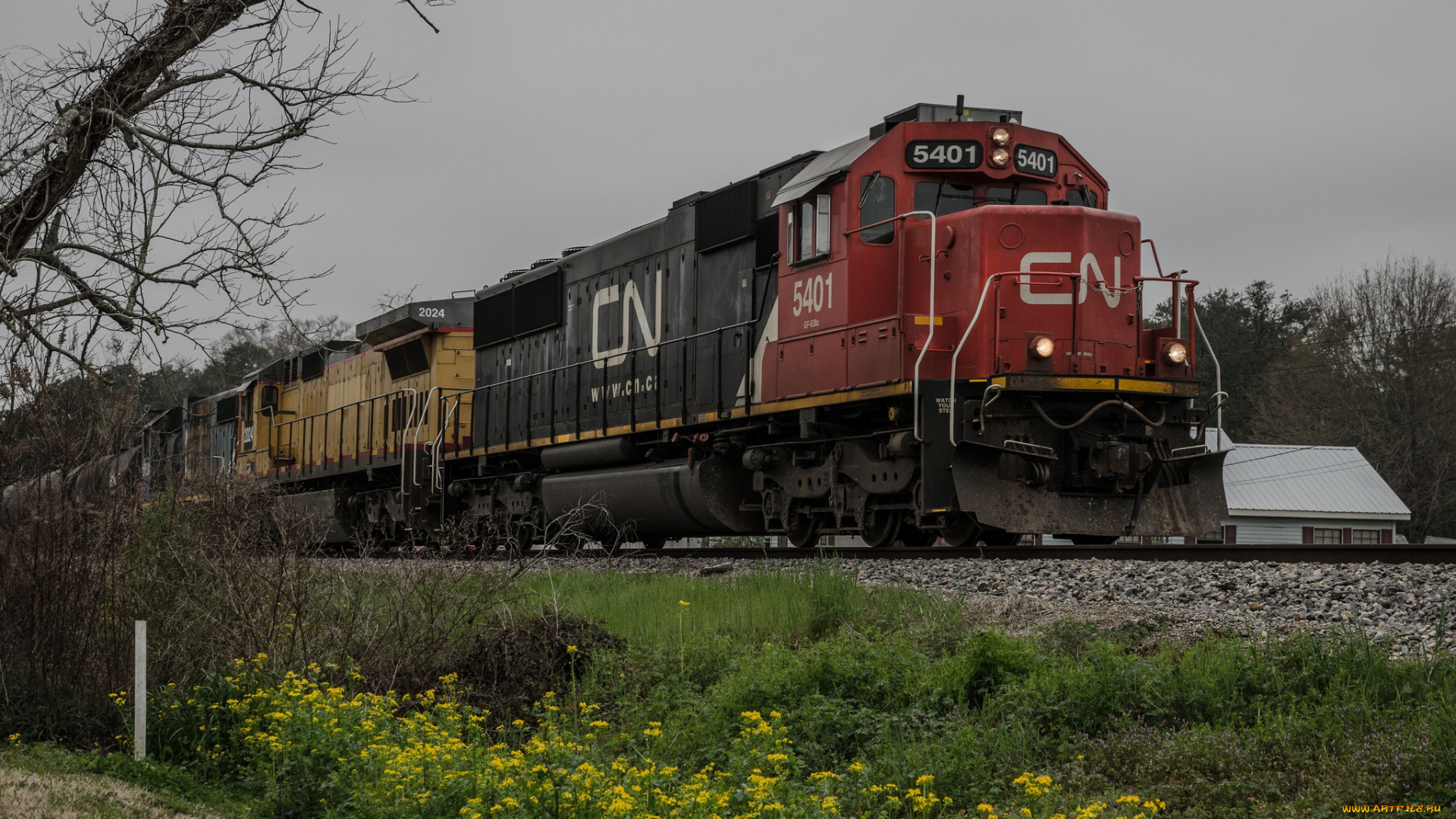 техника, поезда, вагоны, локомотив, дорога, железная