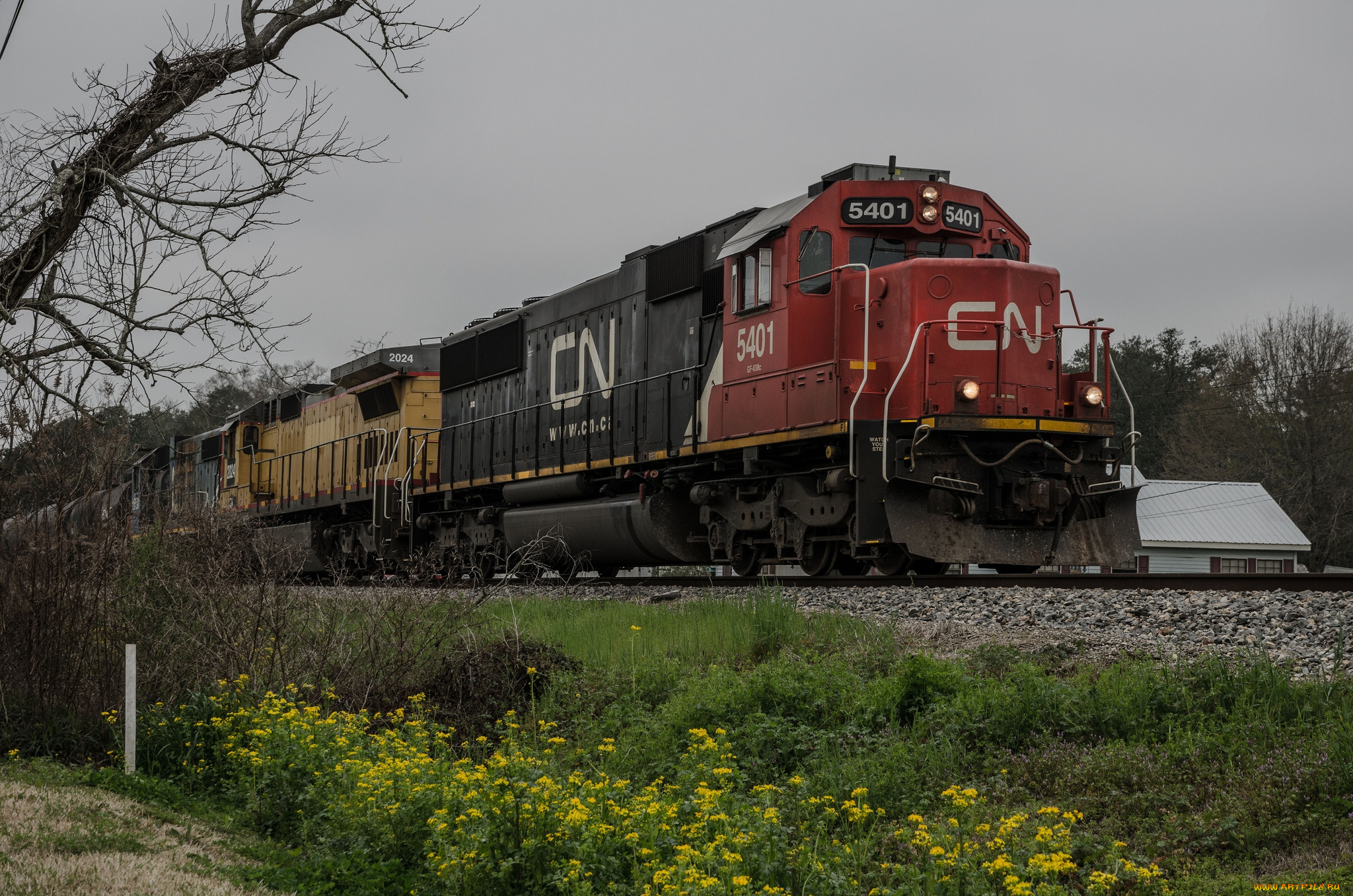 техника, поезда, вагоны, локомотив, дорога, железная