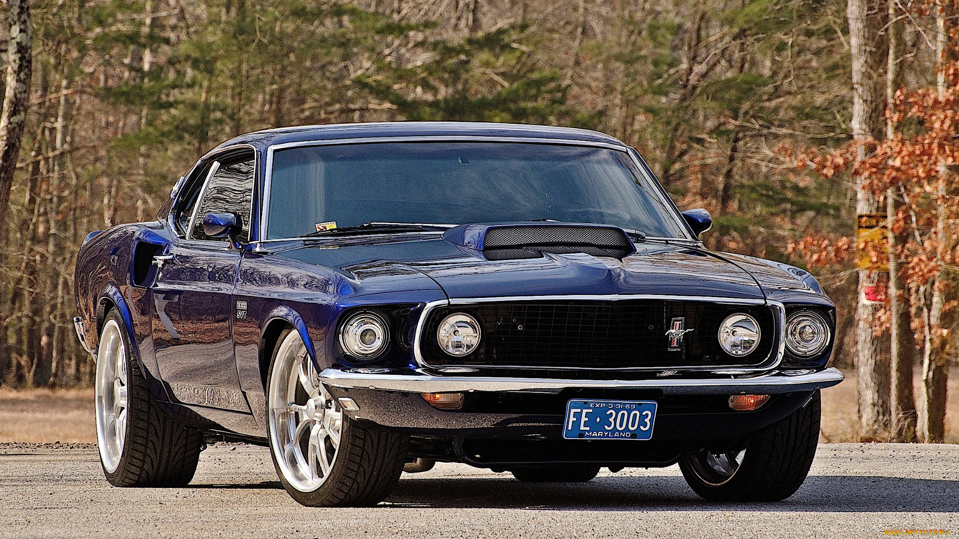 автомобили, mustang