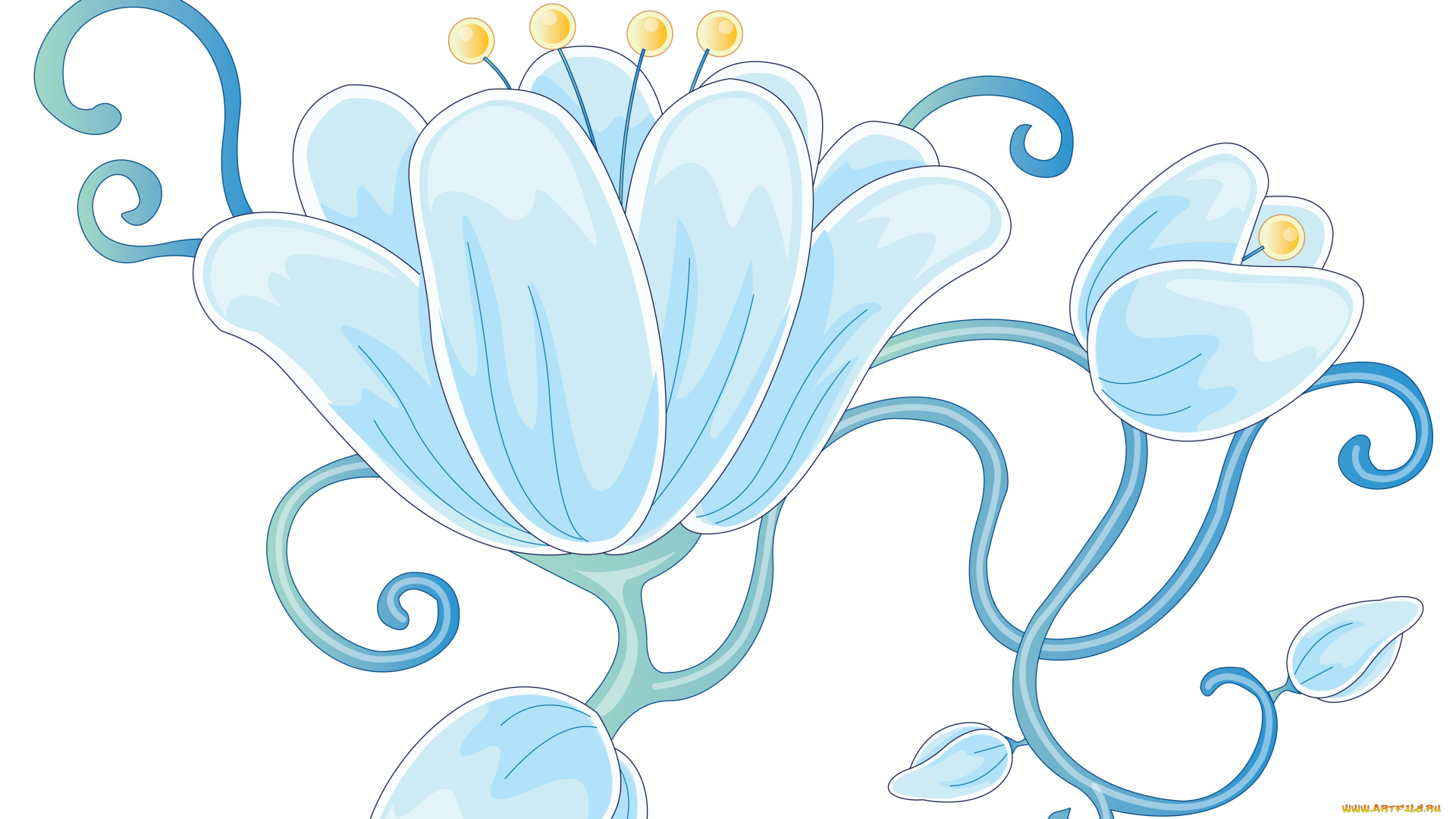 векторная, графика, цветы, бутоны