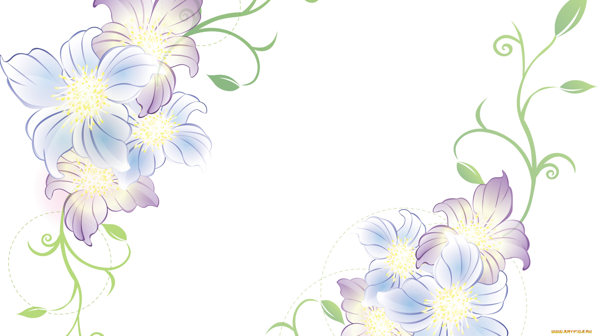 векторная, графика, цветы, фон, листья