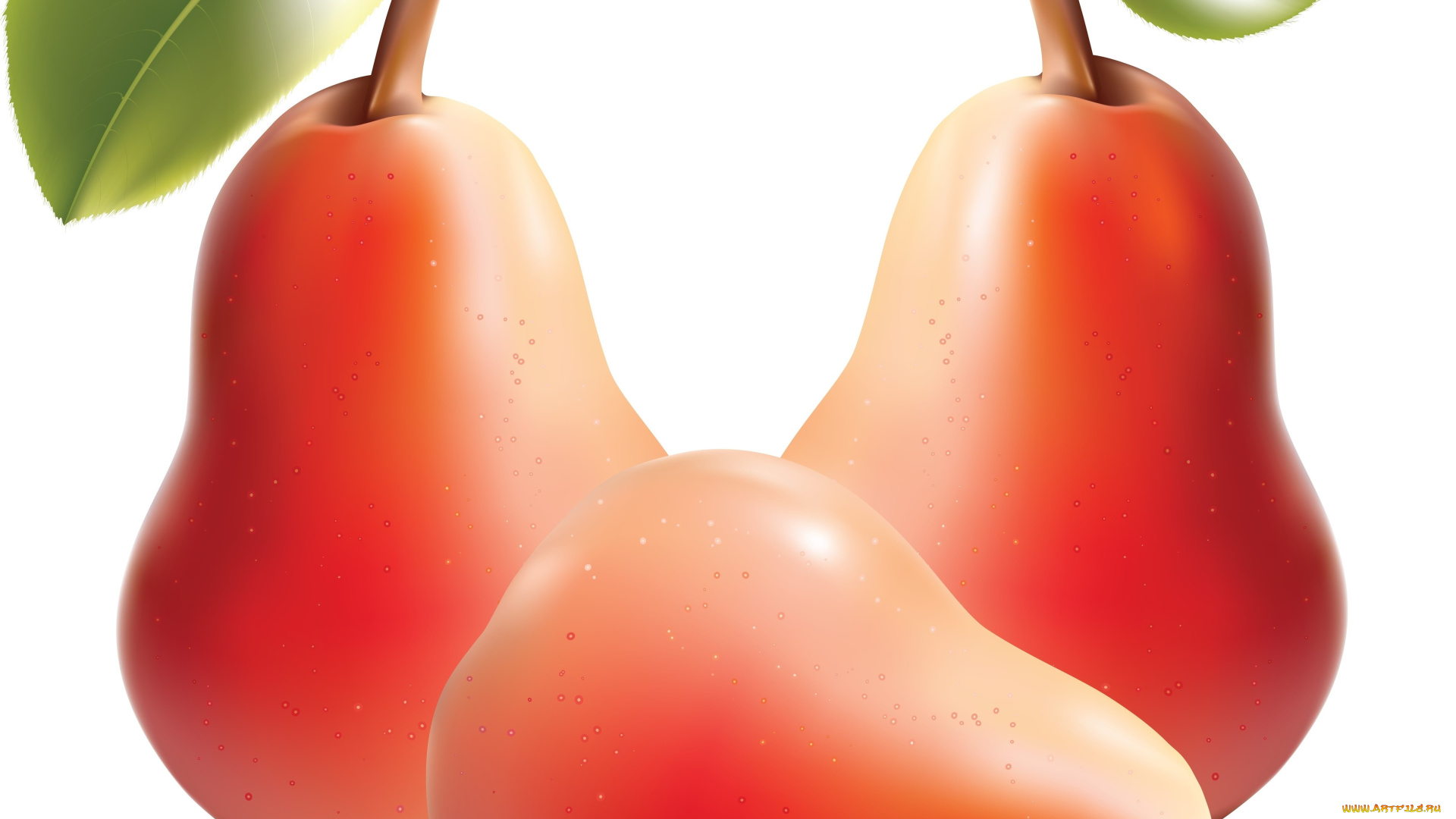 векторная, графика, еда, груши, листья, фон