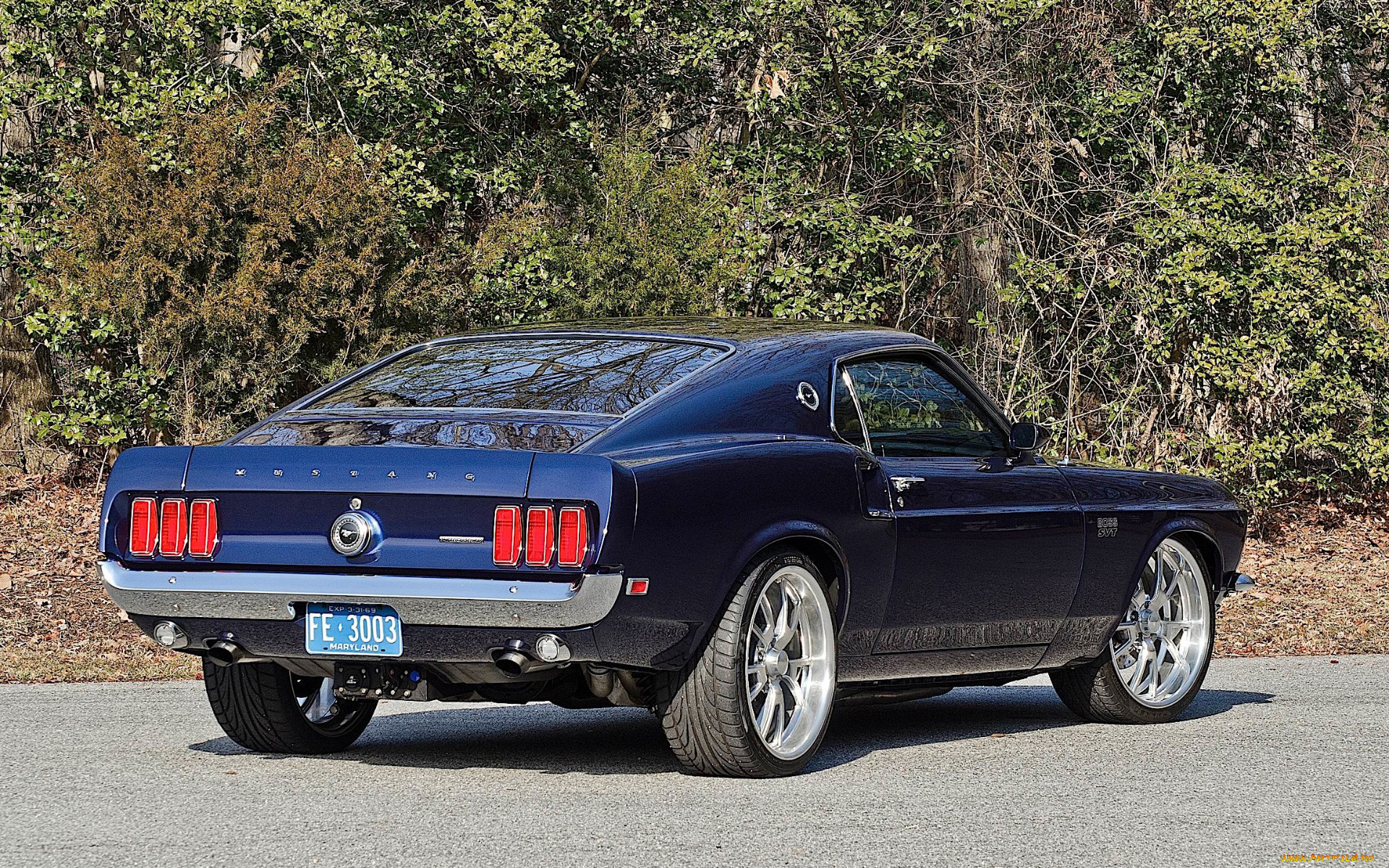 автомобили, mustang