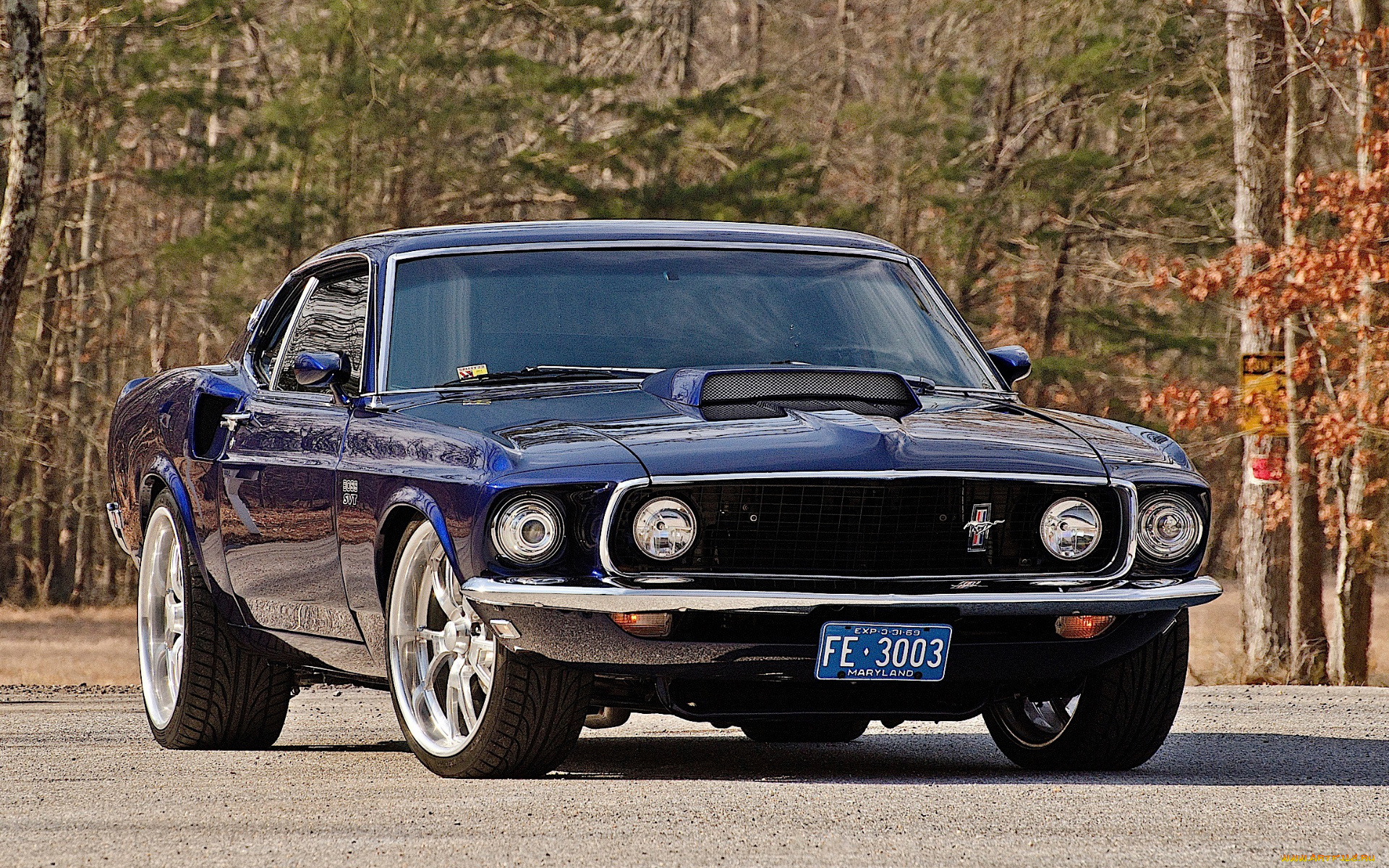 автомобили, mustang