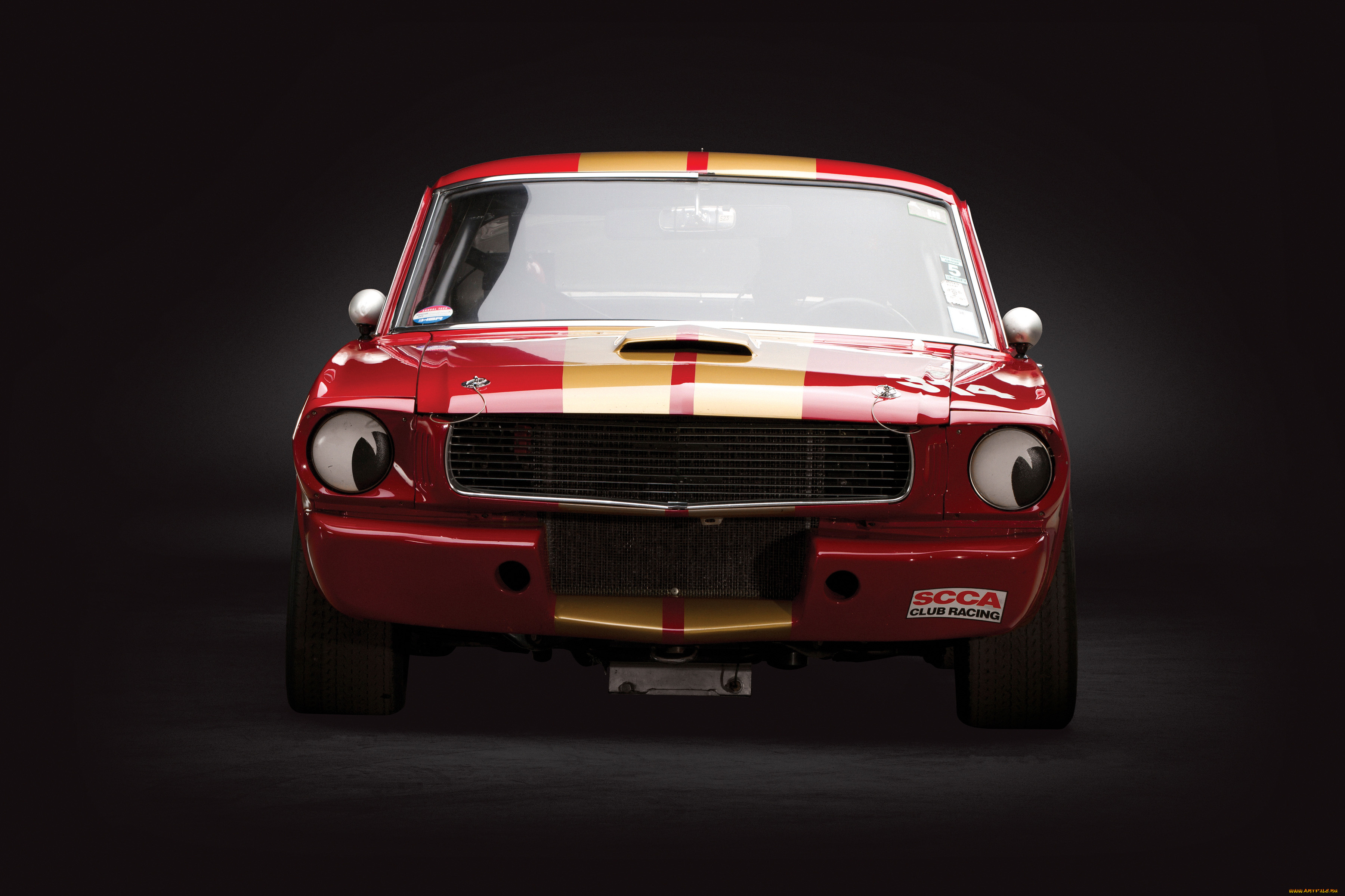 автомобили, mustang