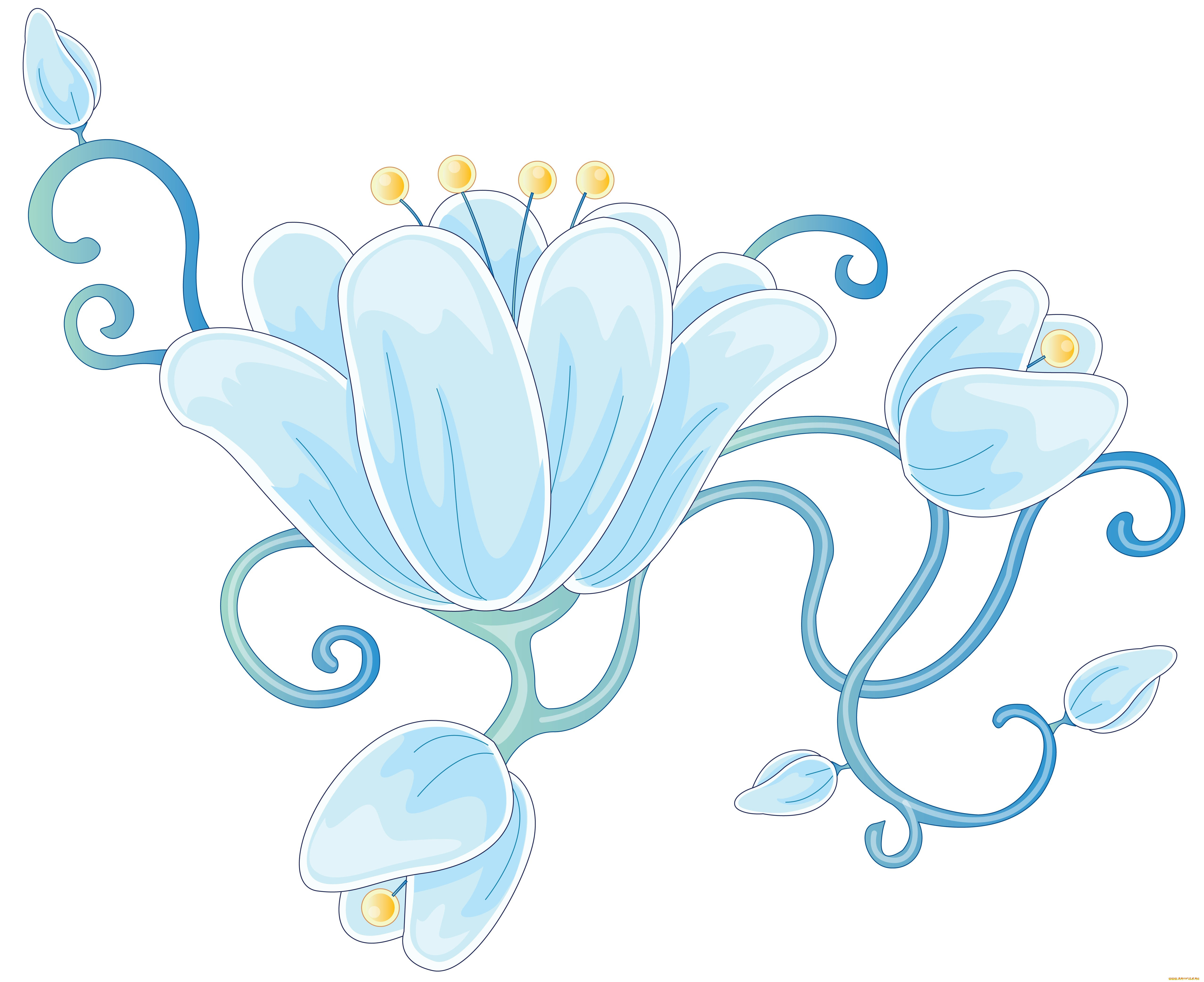 векторная, графика, цветы, бутоны