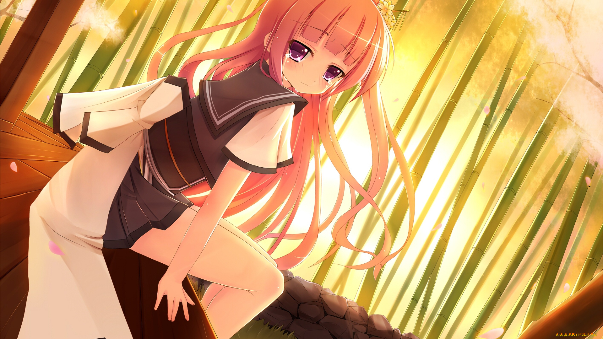 аниме, unknown, , другое, взгляд, фон, девушка