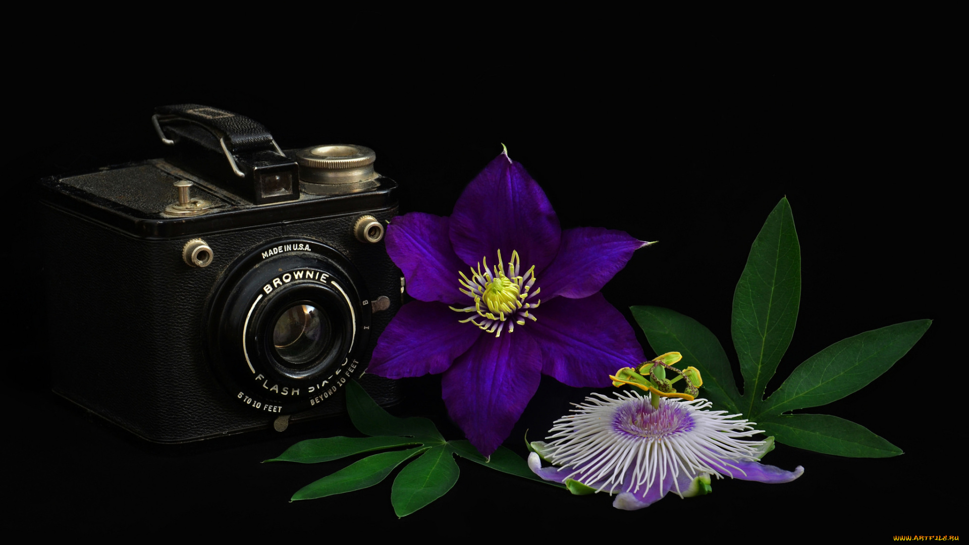 бренды, бренды, фотоаппаратов, , разное, фотокамера