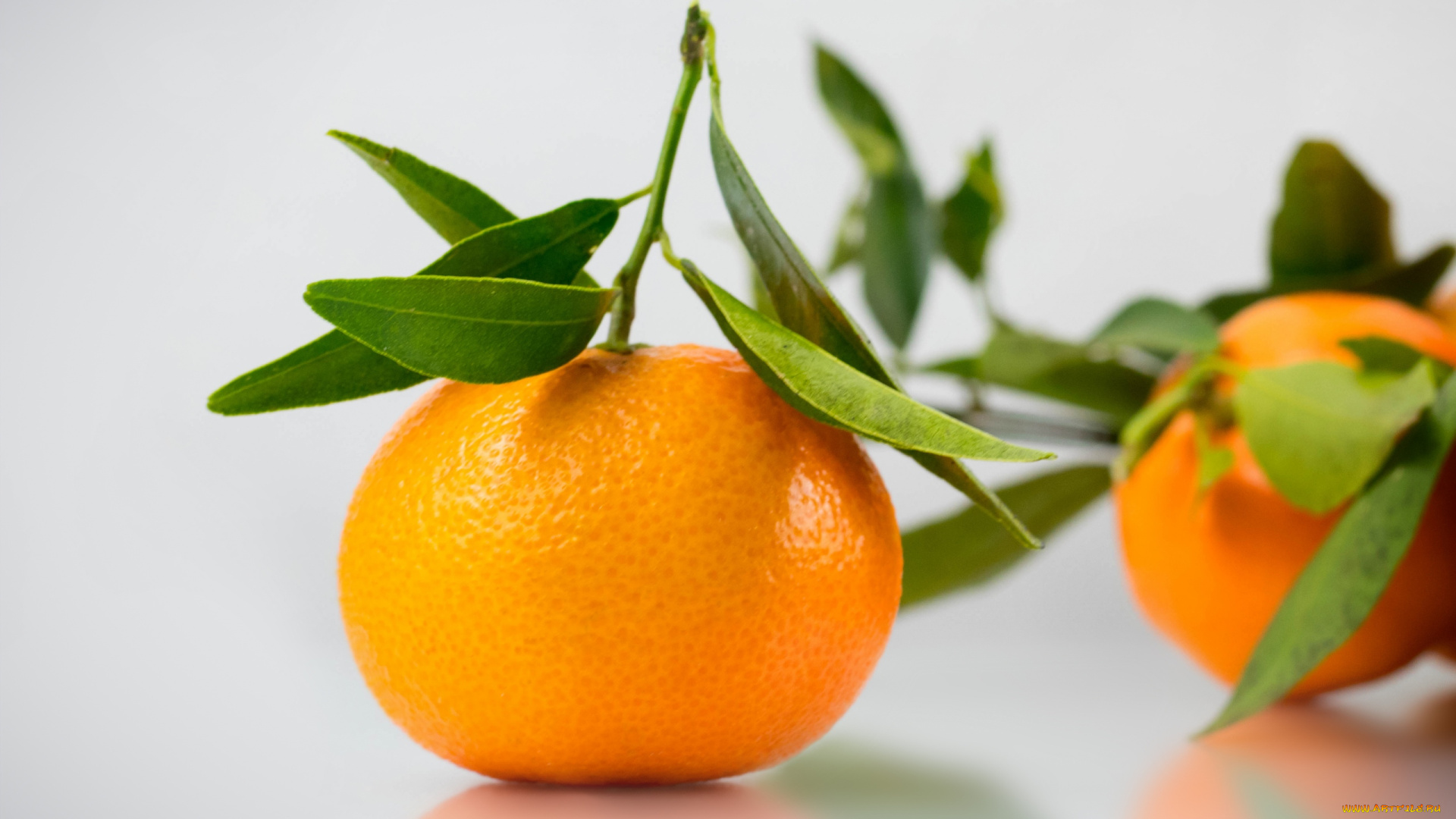 еда, цитрусы, мандарин