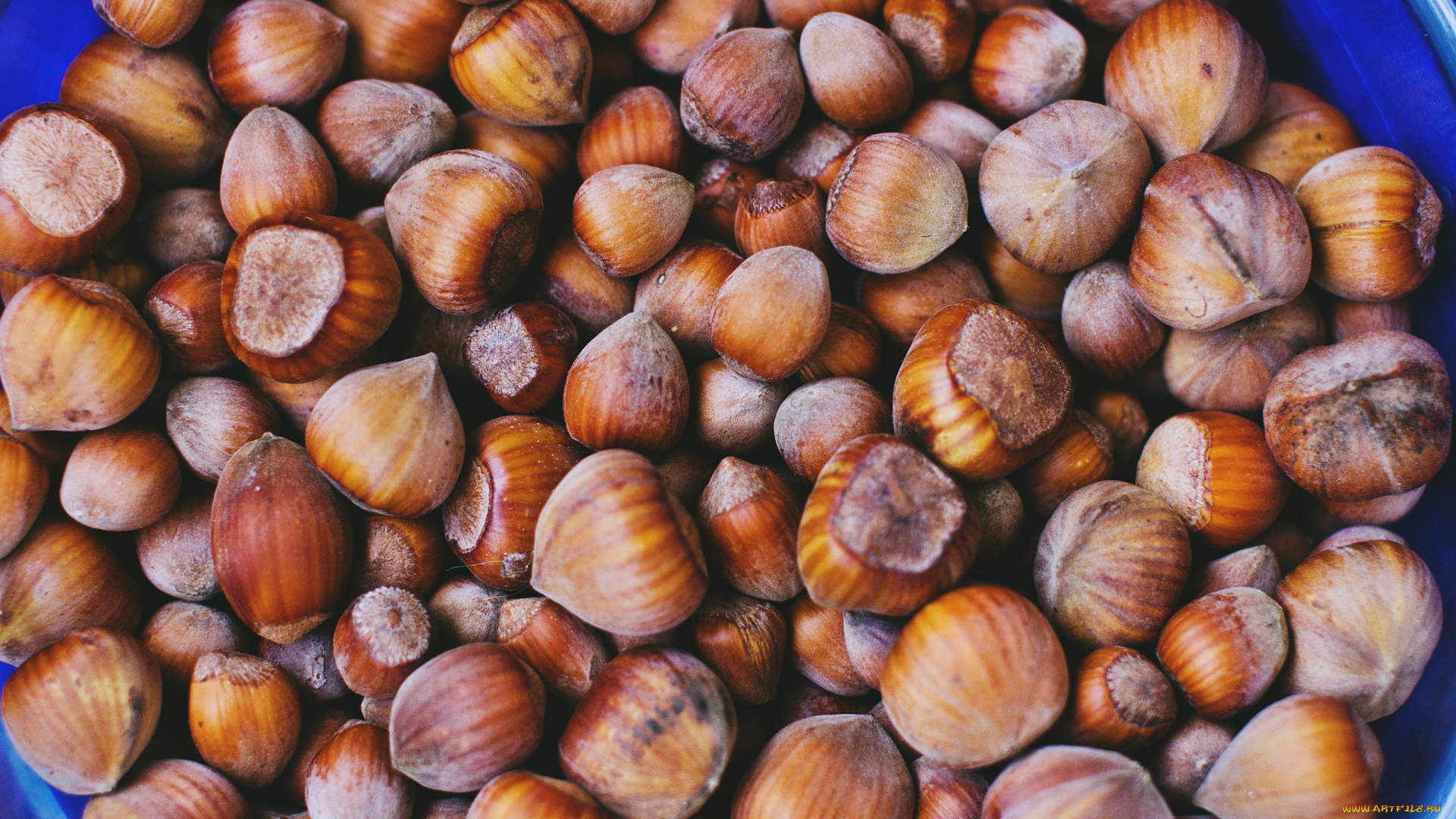 еда, орехи, , каштаны, , какао-бобы, фундук