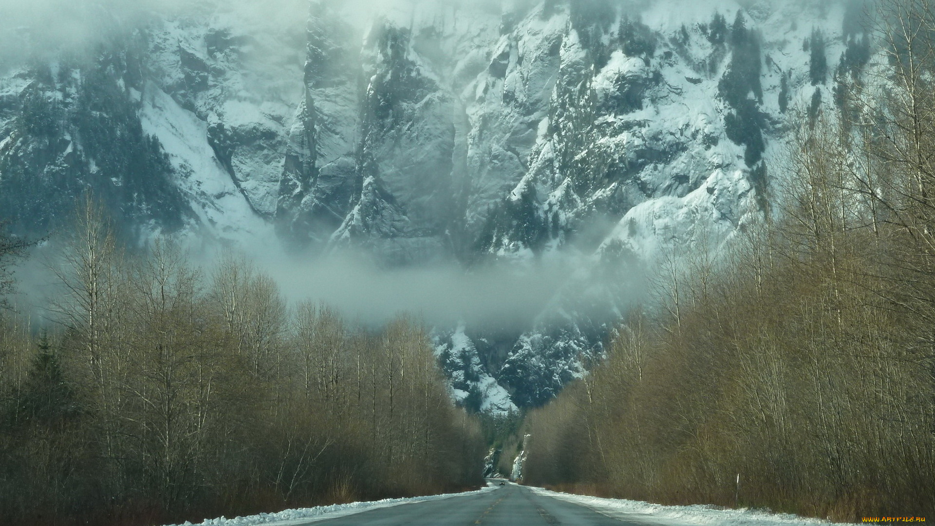 природа, дороги, деревья, снег