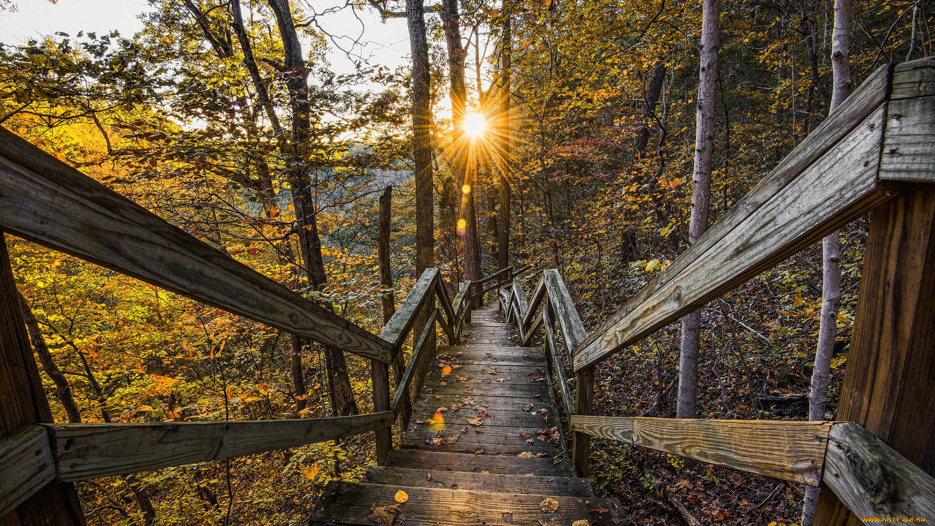 природа, дороги, тракт