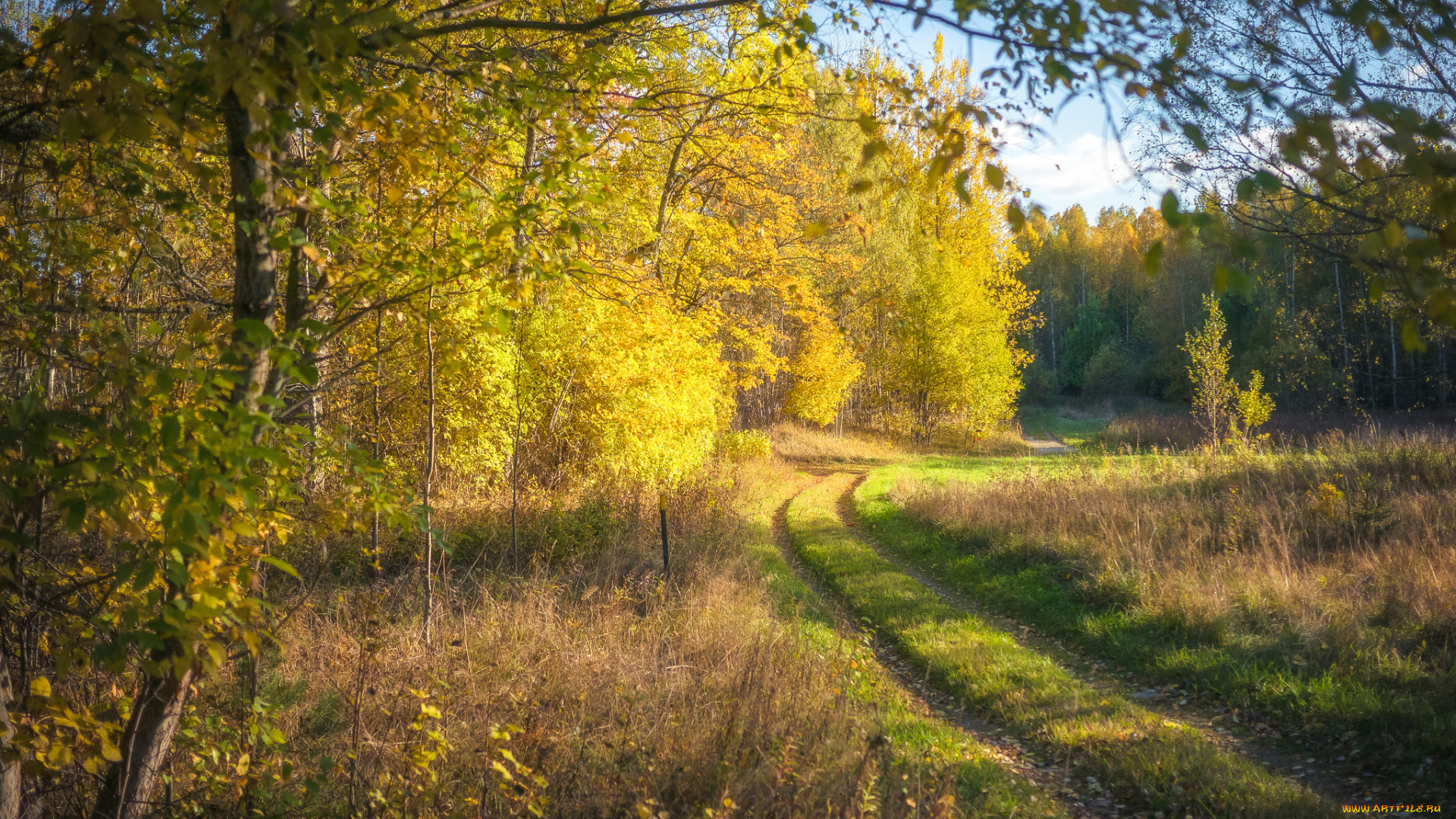 природа, дороги, тракт