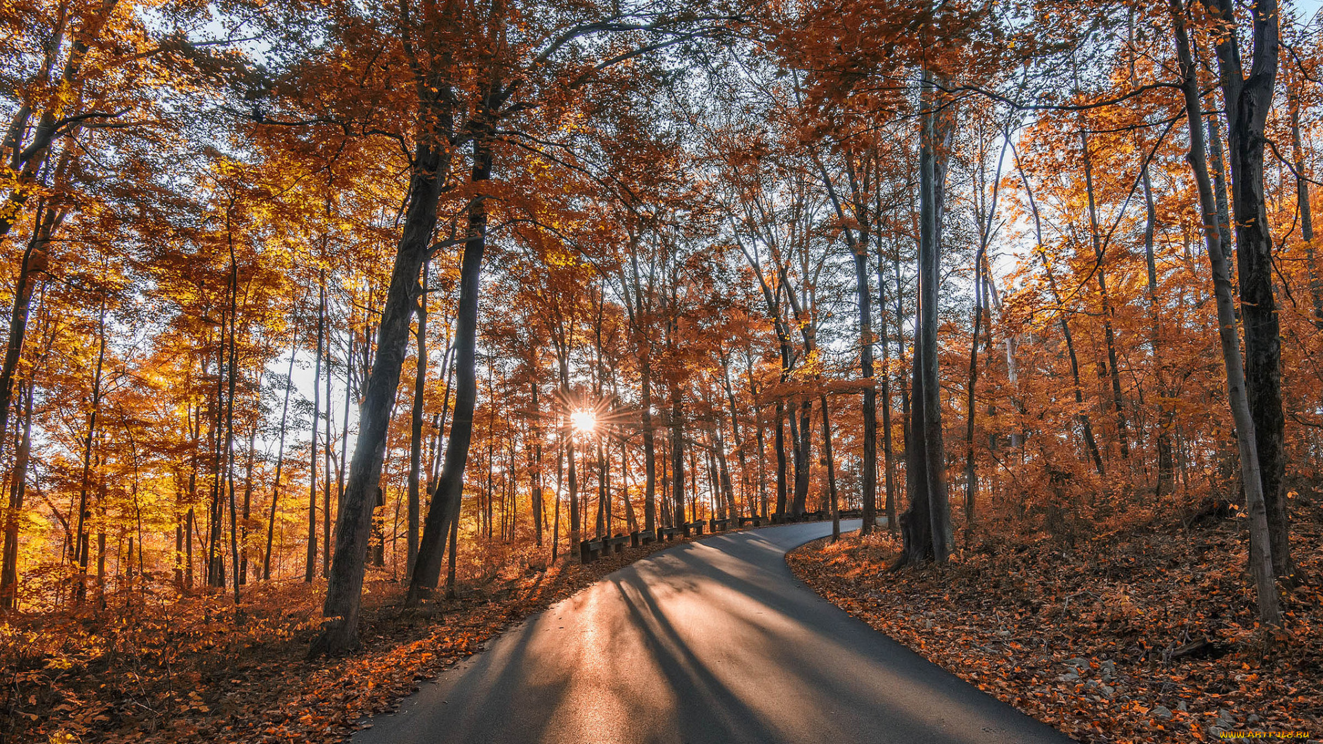 природа, дороги, тракт