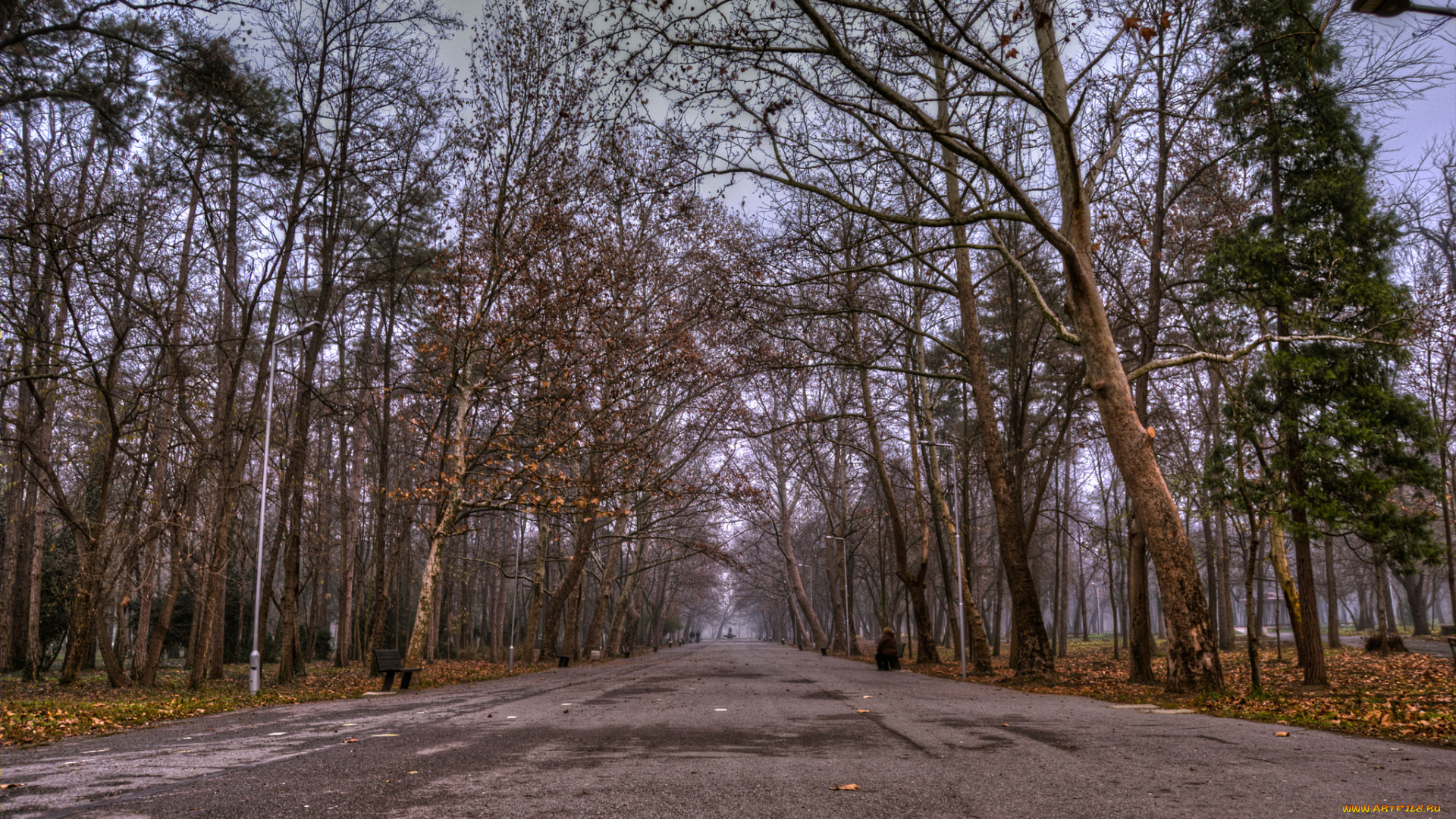 природа, дороги, тракт