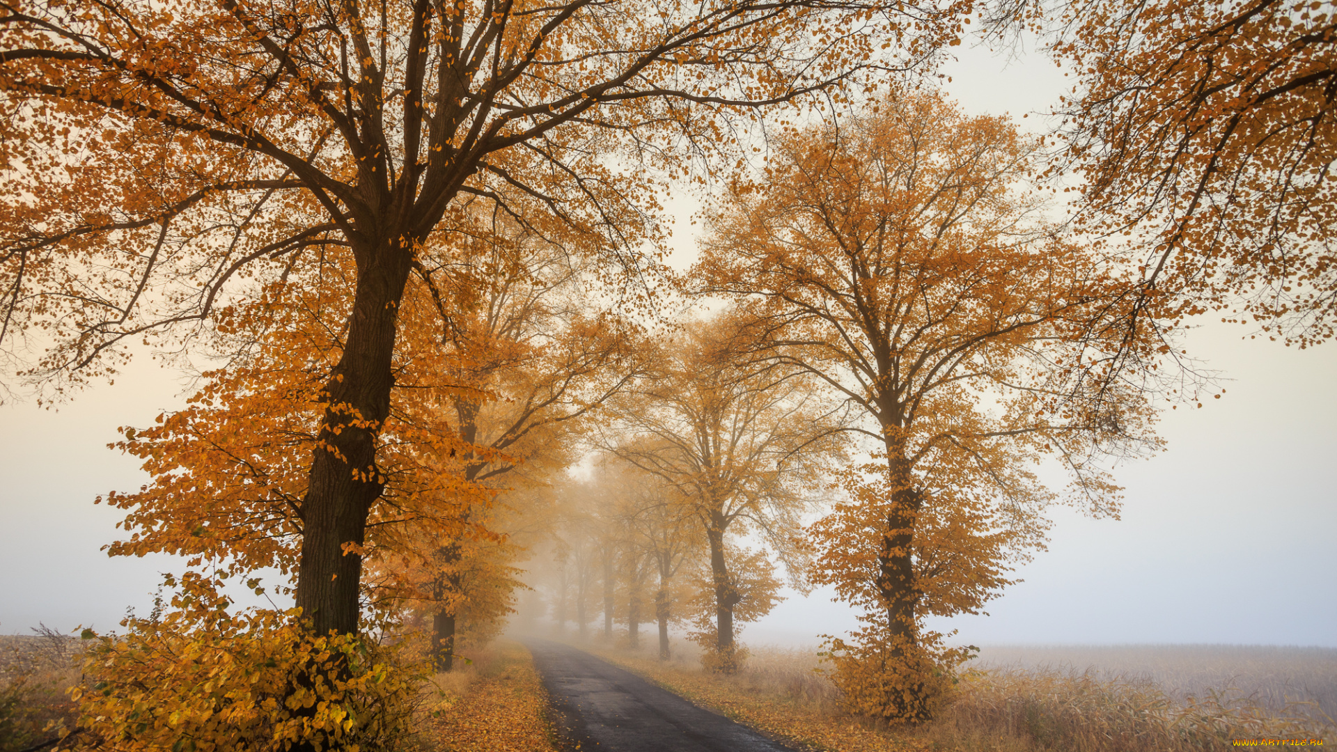 природа, дороги, тракт