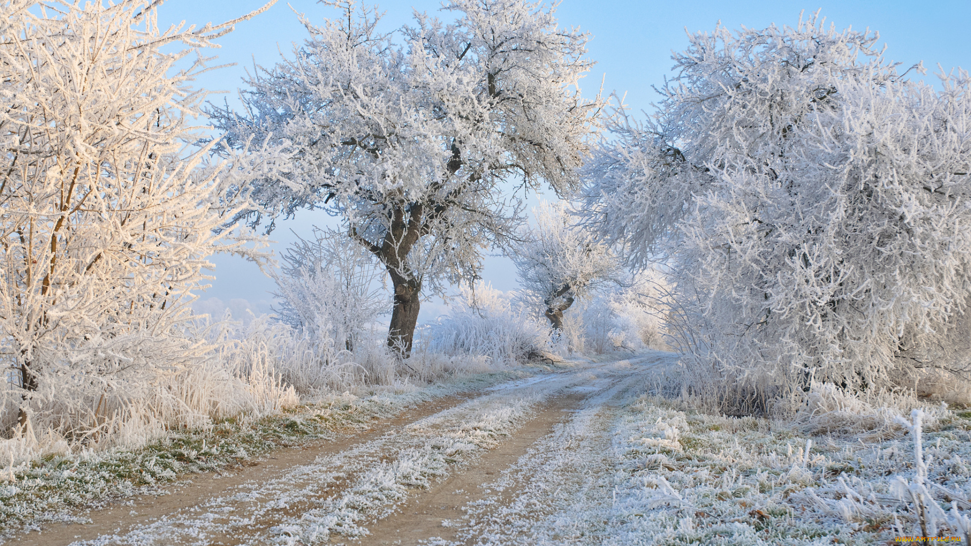 природа, дороги, тракт