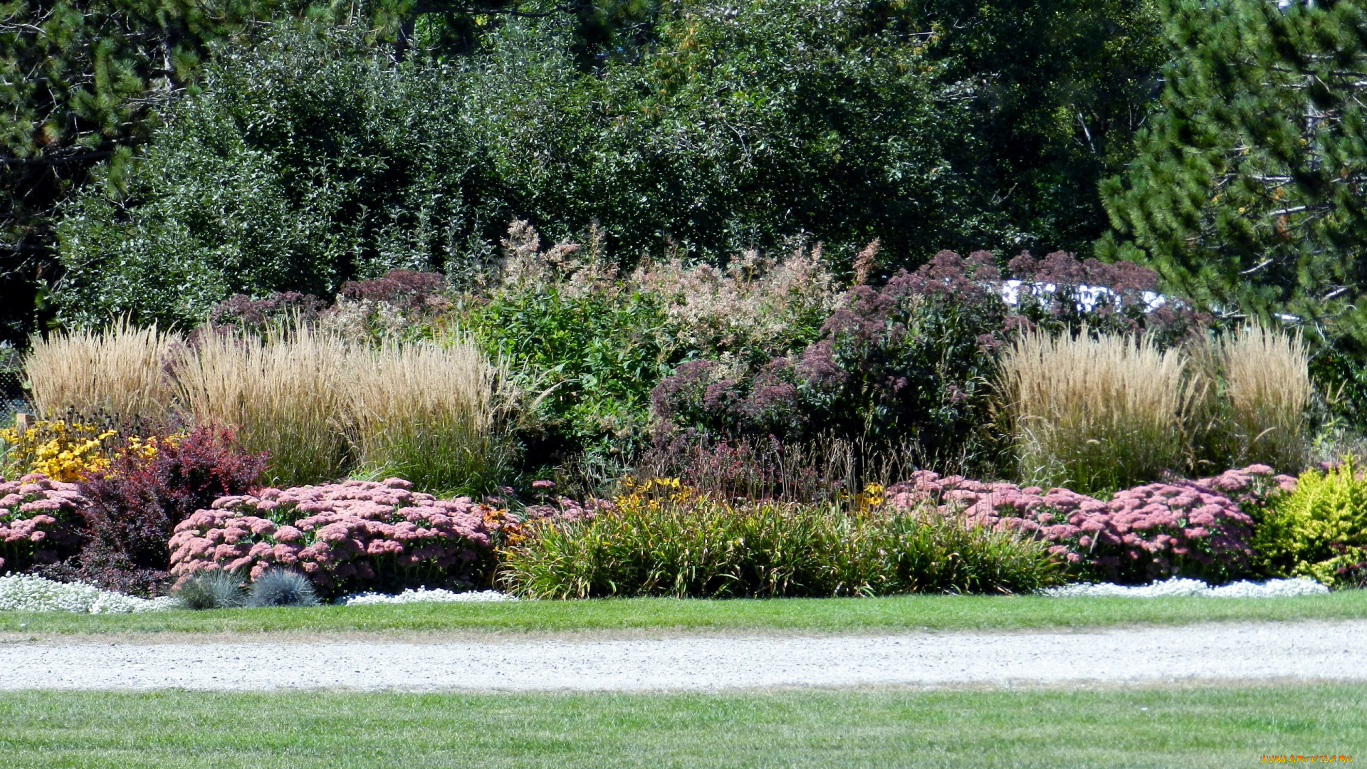 природа, парк, лужайка, клумба