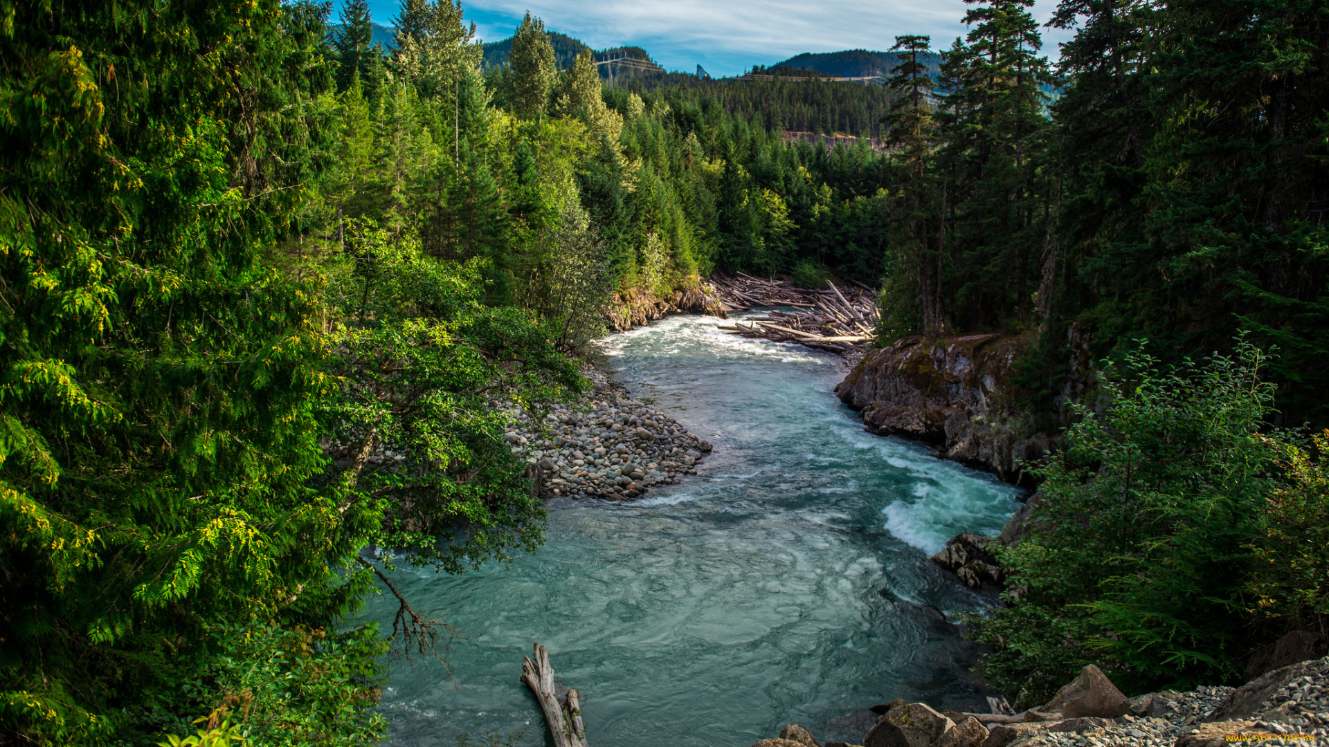 природа, реки, озера, лес, река