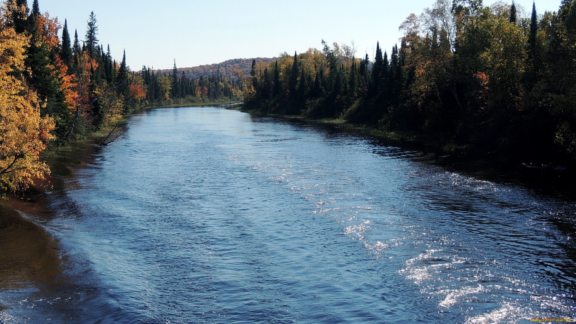 природа, реки, озера, лес, река, вода
