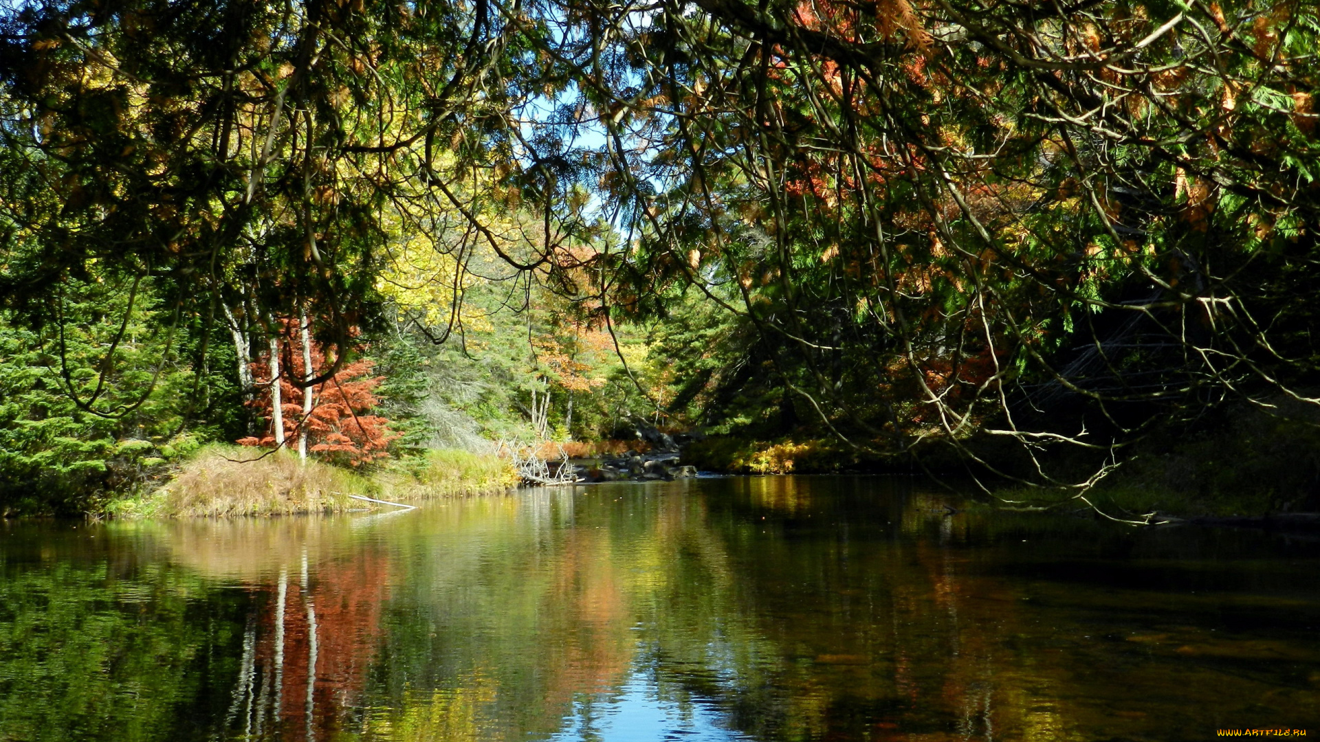 природа, реки, озера, отражение
