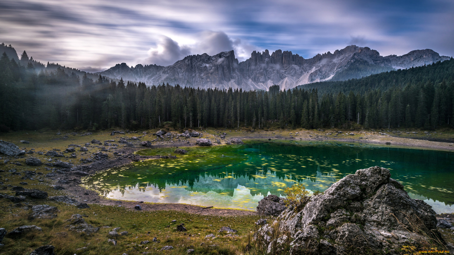 природа, реки, озера, река, лес