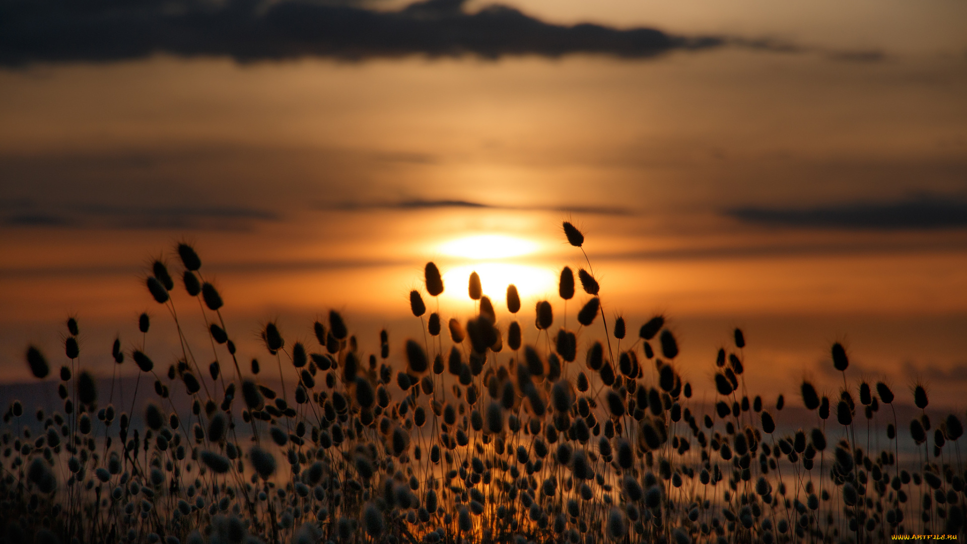 природа, восходы, закаты, рассвет