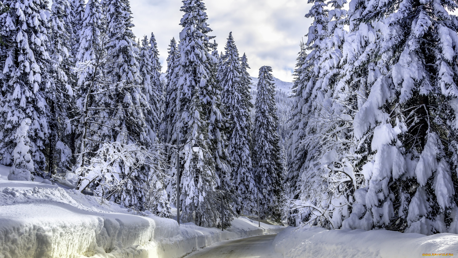 природа, зима, снег