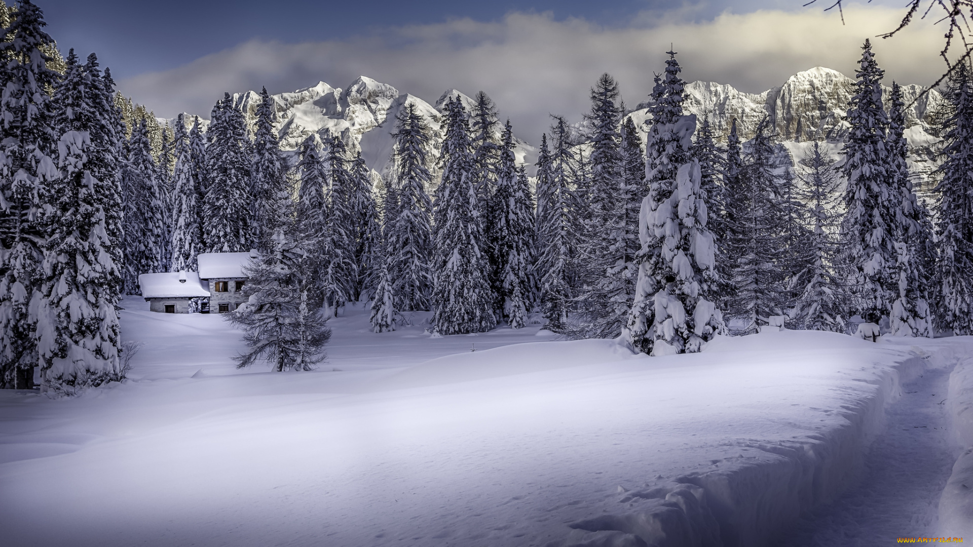 природа, зима, снег