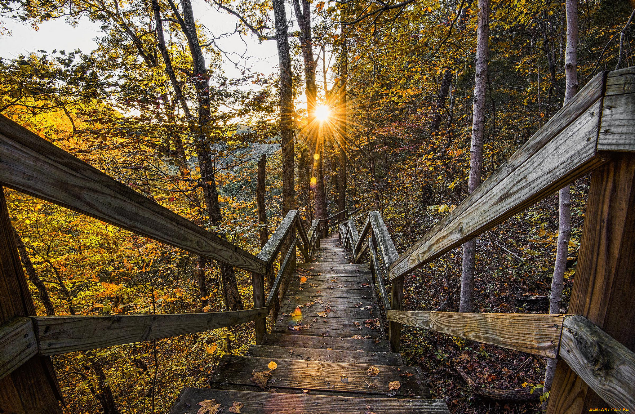 природа, дороги, тракт